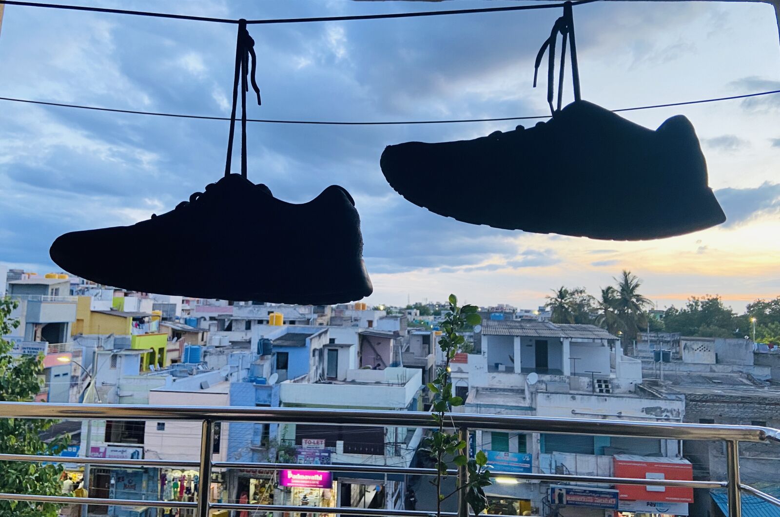 Apple iPhone 11 sample photo. Shoes, evening, nature photography