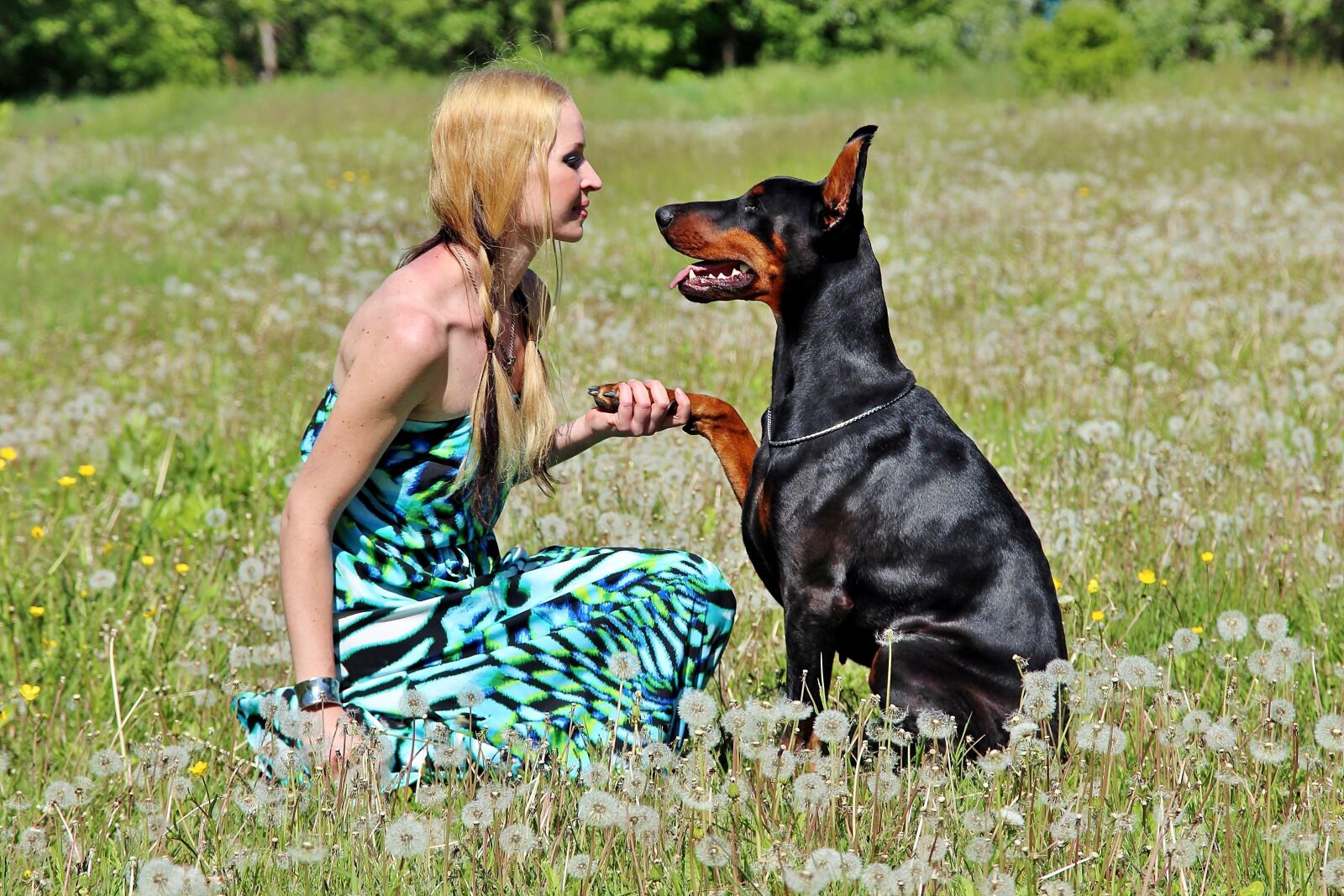 Canon EOS 600D (Rebel EOS T3i / EOS Kiss X5) sample photo. Blonde girl, pacsi, doberman photography