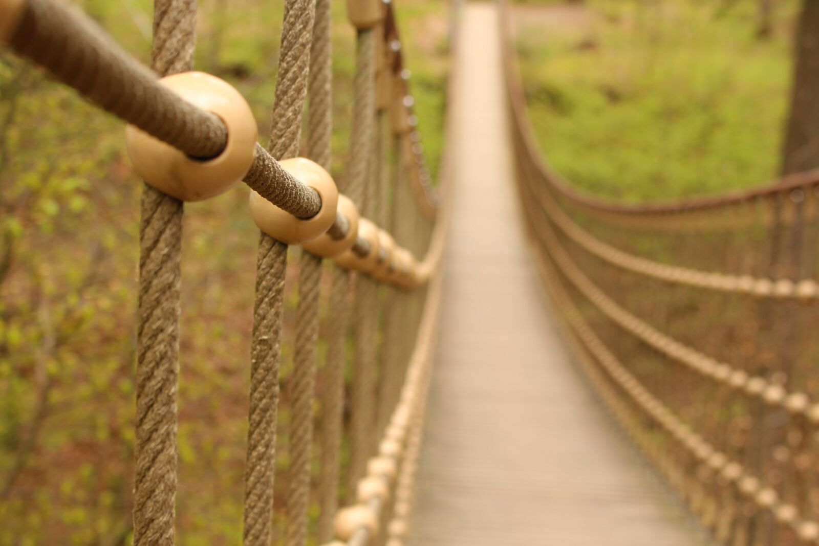 Canon EOS 700D (EOS Rebel T5i / EOS Kiss X7i) sample photo. Bridge, view, landscape photography