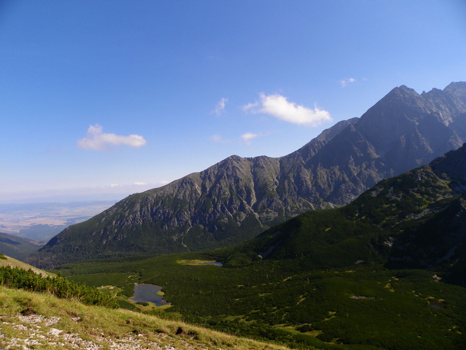 Kodak EasyShare Z981 sample photo. Landscape, sunlight, summer photography
