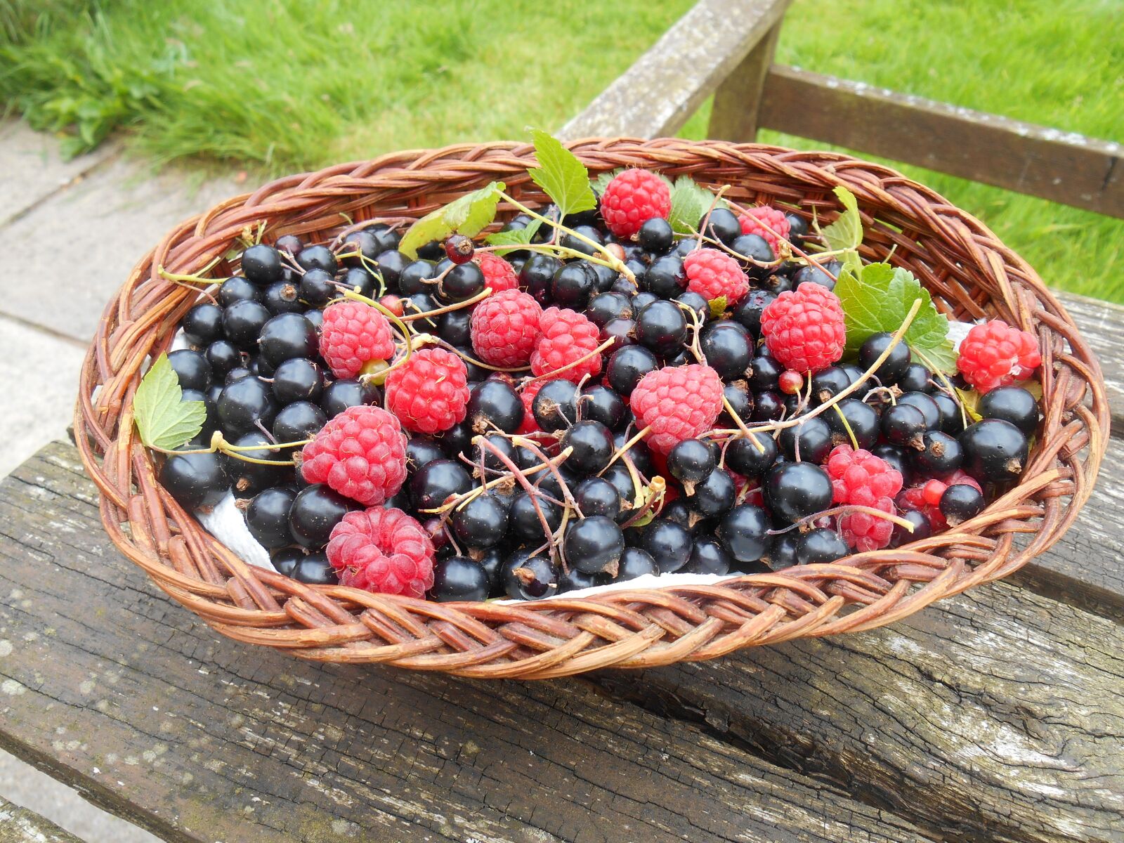 Nikon Coolpix S3500 sample photo. Fruit, basket, raspberries photography