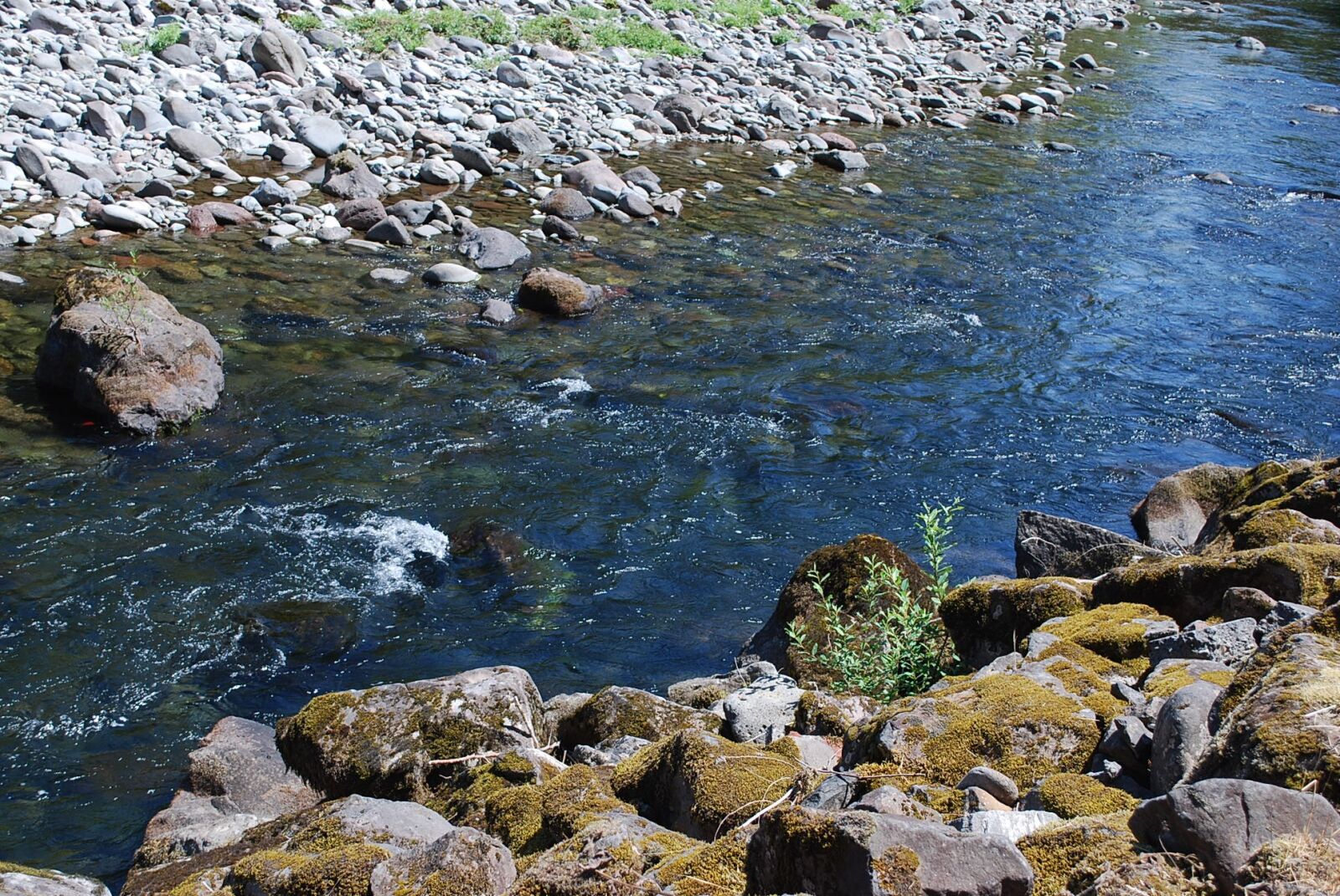 Nikon D60 sample photo. Salmon river, mount hood photography
