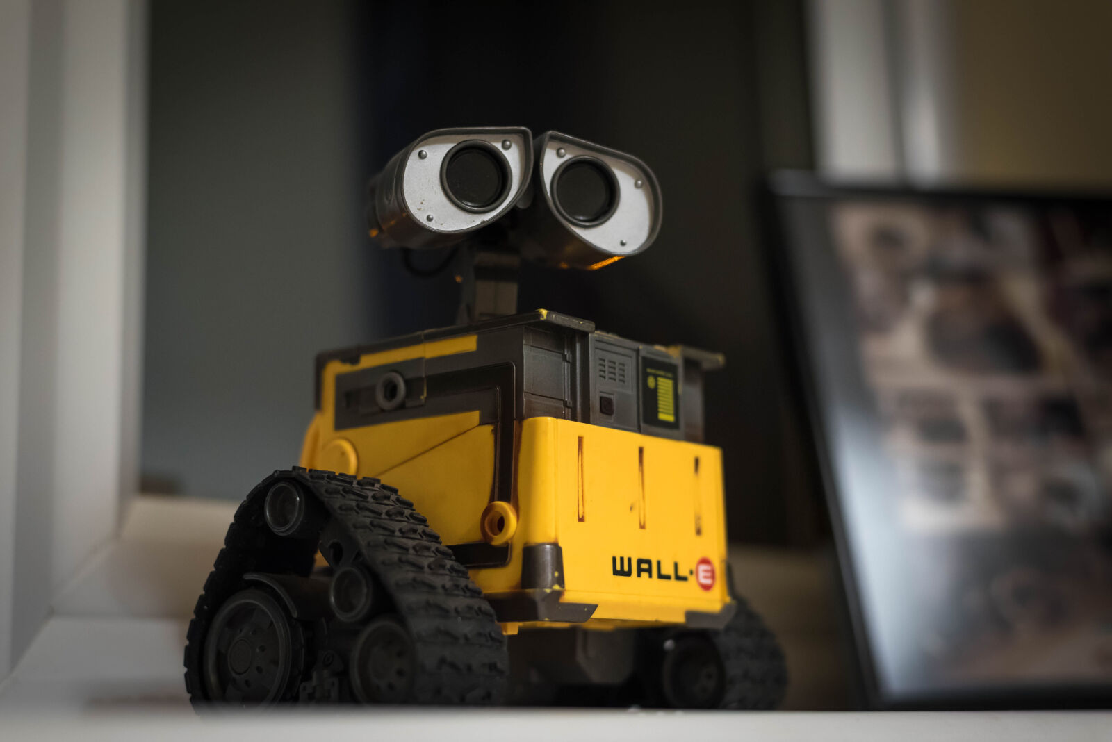 Nikon D750 + Nikon AF-S Nikkor 50mm F1.8G sample photo