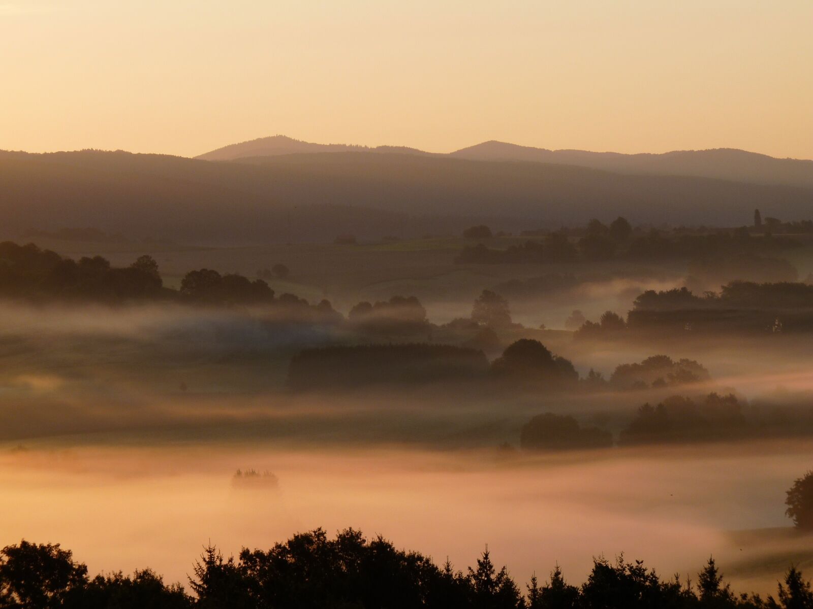Panasonic Lumix DMC-FZ28 sample photo. Landscape, fog, morning photography
