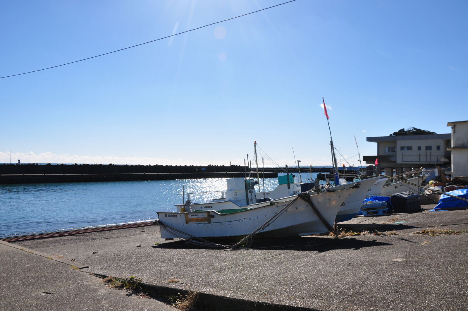 Nikon D90 sample photo