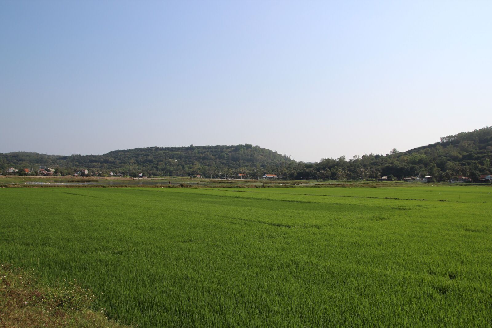Tamron SP AF 17-50mm F2.8 XR Di II LD Aspherical (IF) sample photo. Vietnam, asia, field photography