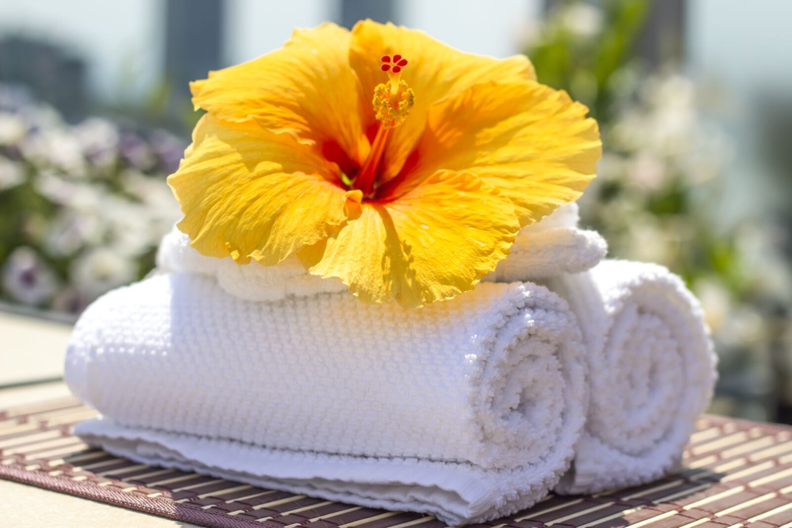 Canon EOS 600D (Rebel EOS T3i / EOS Kiss X5) + Canon EF 50mm F1.8 II sample photo. Towel, hibiscus, clean photography