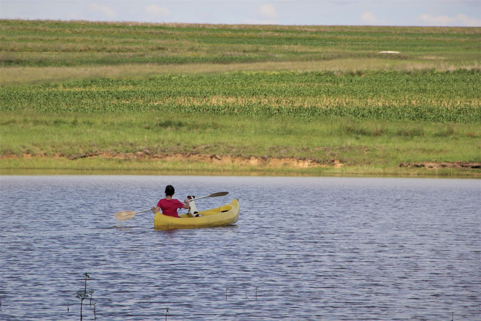 Canon EOS 60D sample photo. Canoe, rowing, yellow photography