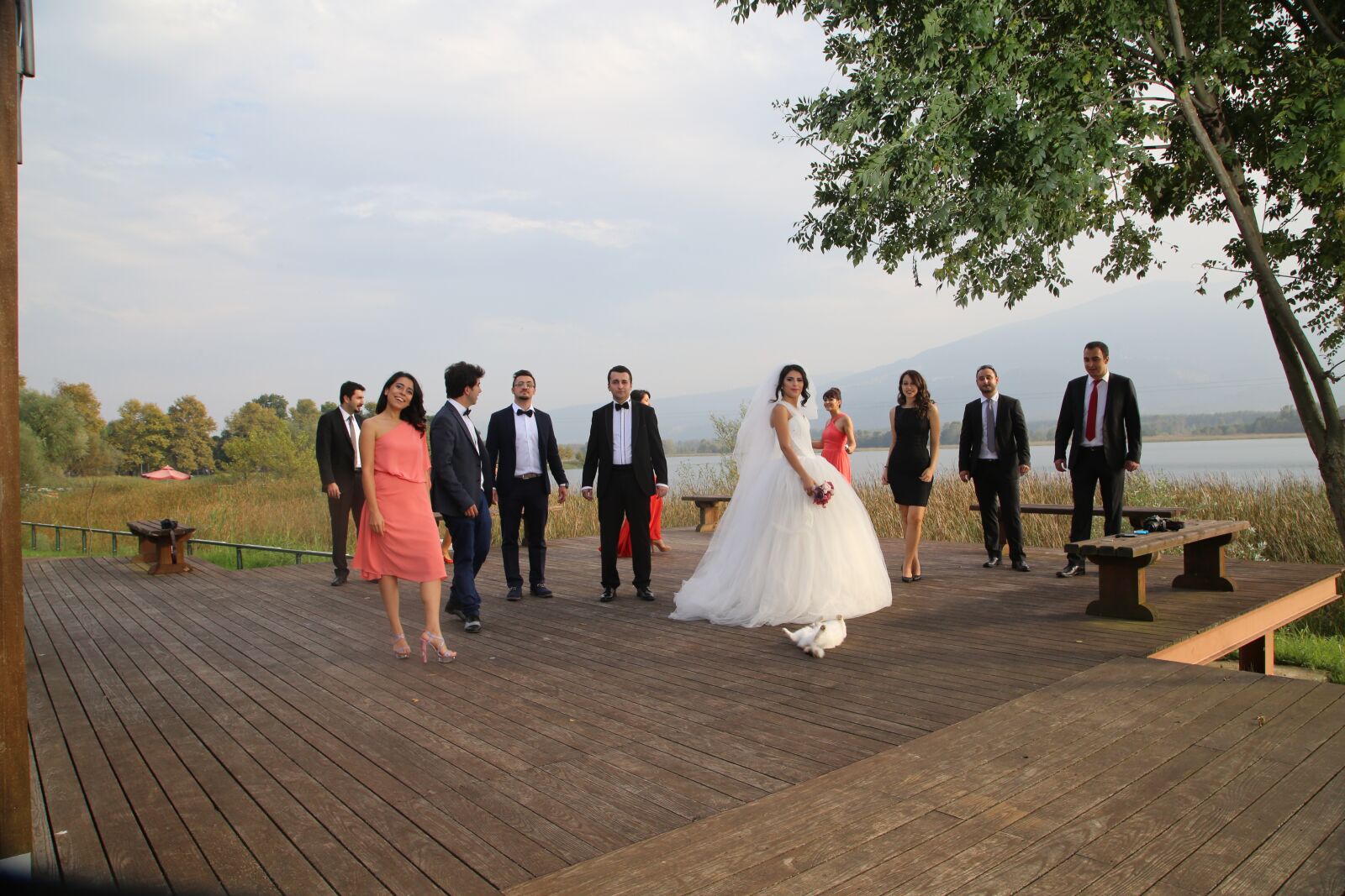 Canon EOS 5D Mark III sample photo. Guest cat, wedding ceremony photography