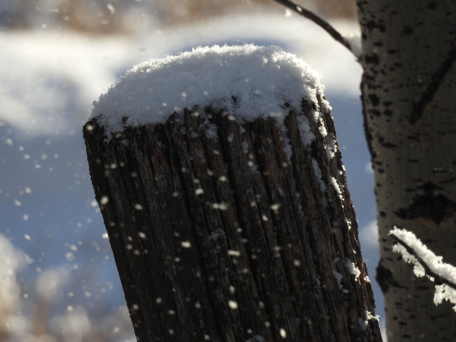 Nikon Coolpix P900 sample photo. Winter, fence post, snow photography