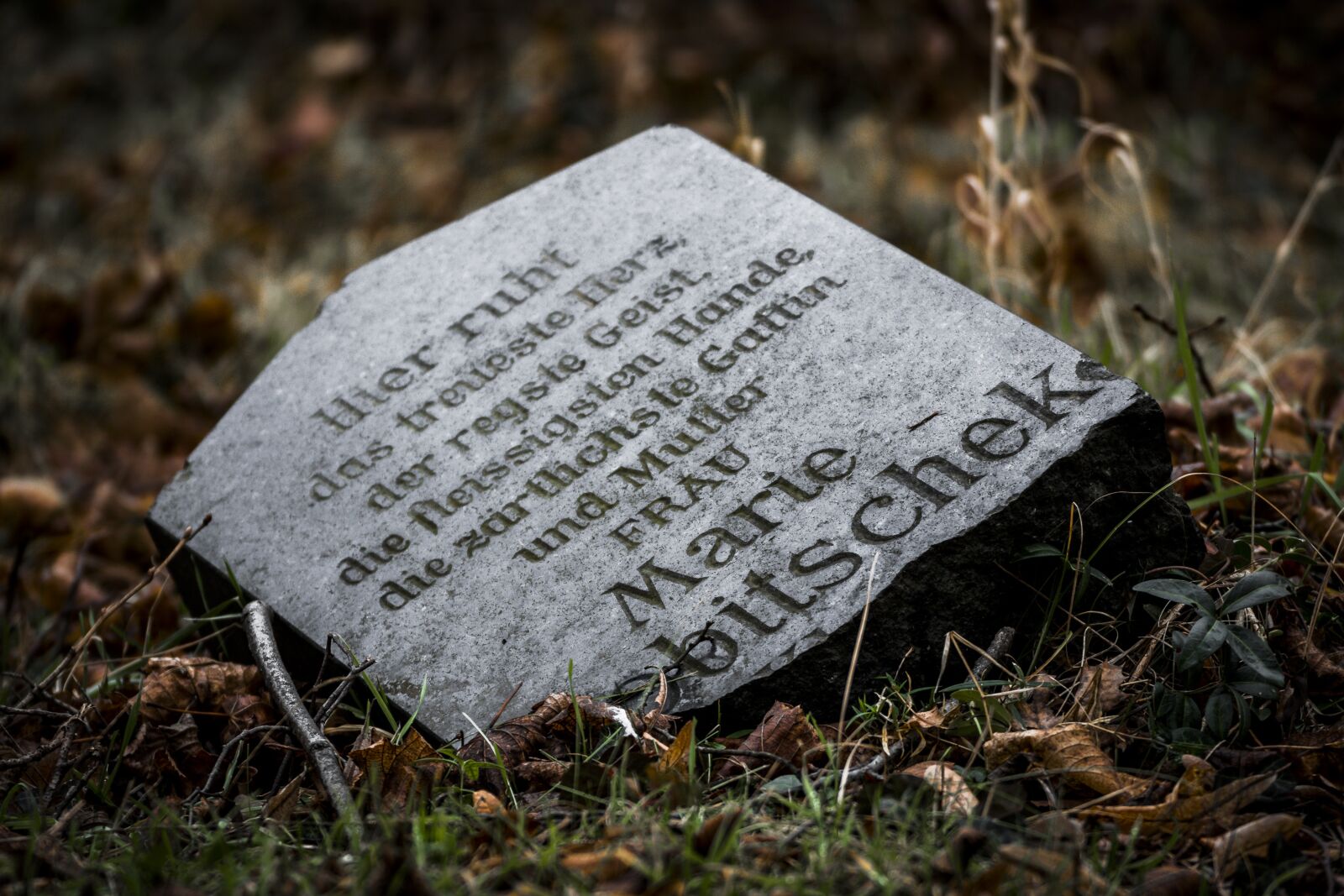 Canon EOS 70D sample photo. Tombstone, old, old cemetery photography
