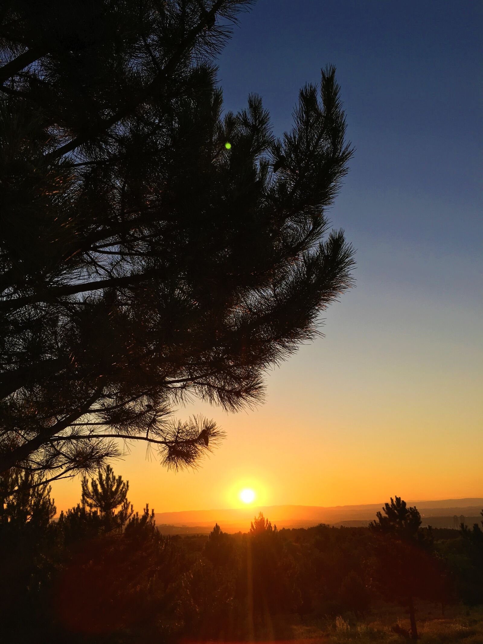 iPhone 6s back camera 4.15mm f/2.2 sample photo. Sunset, in the evening photography