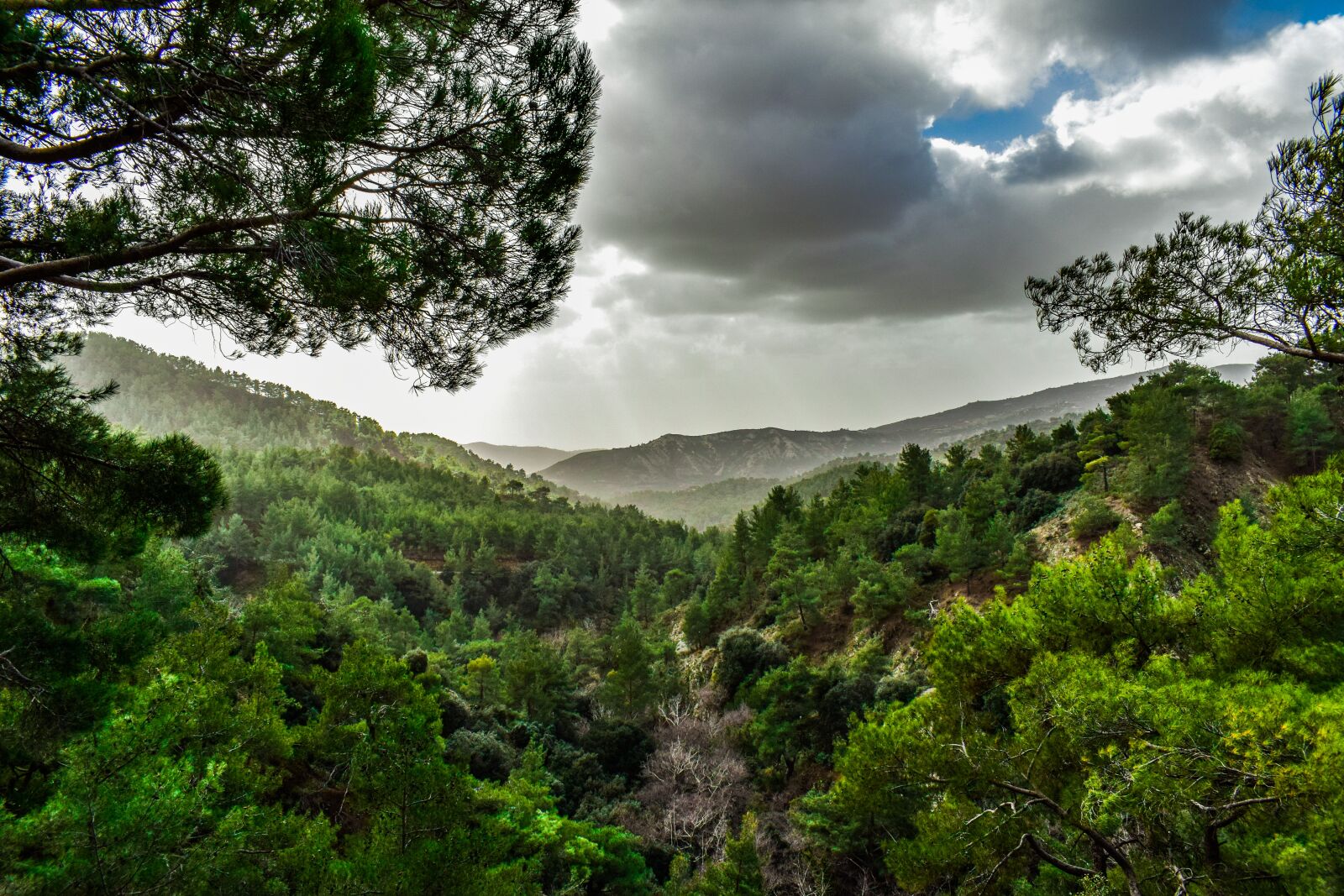 Nikon D3300 sample photo. Mountains, trees, landscape photography