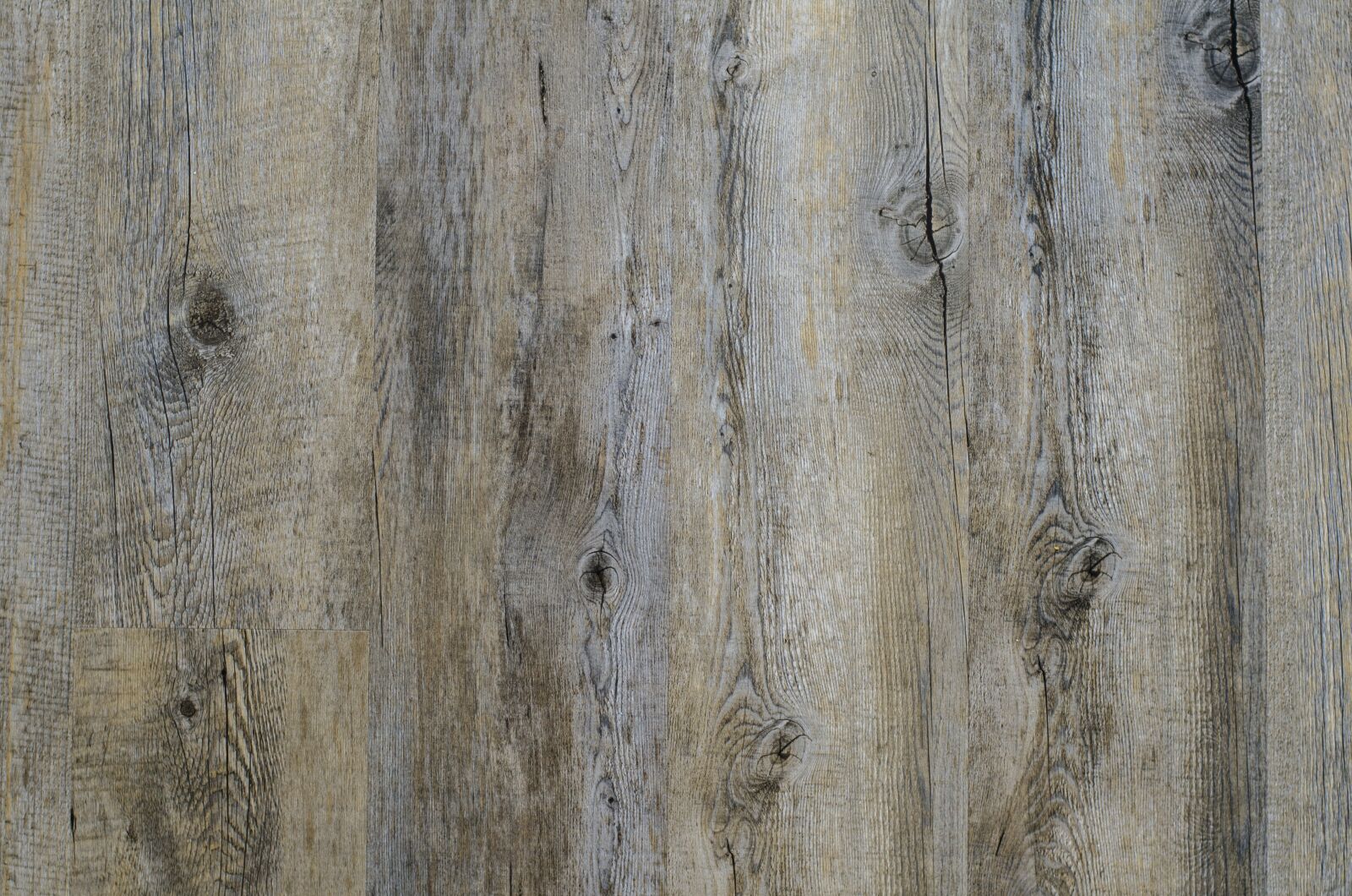 Nikon D7000 sample photo. Background, paul, tree photography