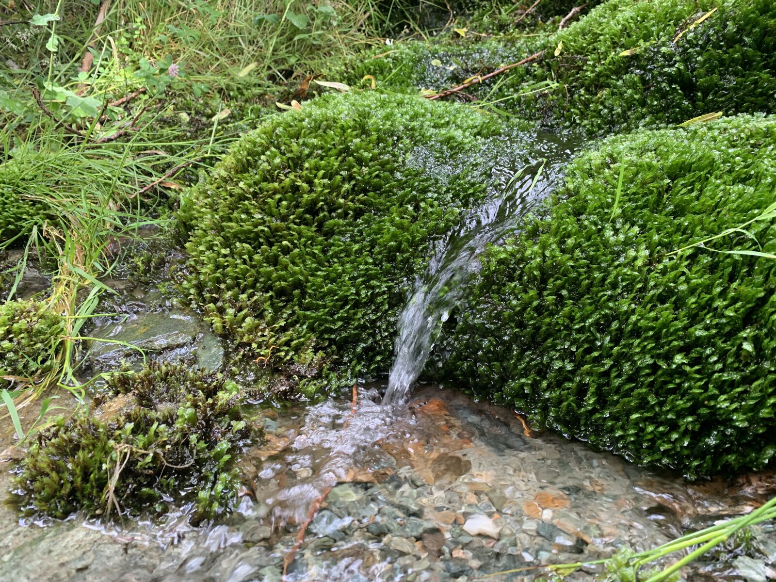 iPhone XS back dual camera 4.25mm f/1.8 sample photo. Waterfall, moss, nature photography