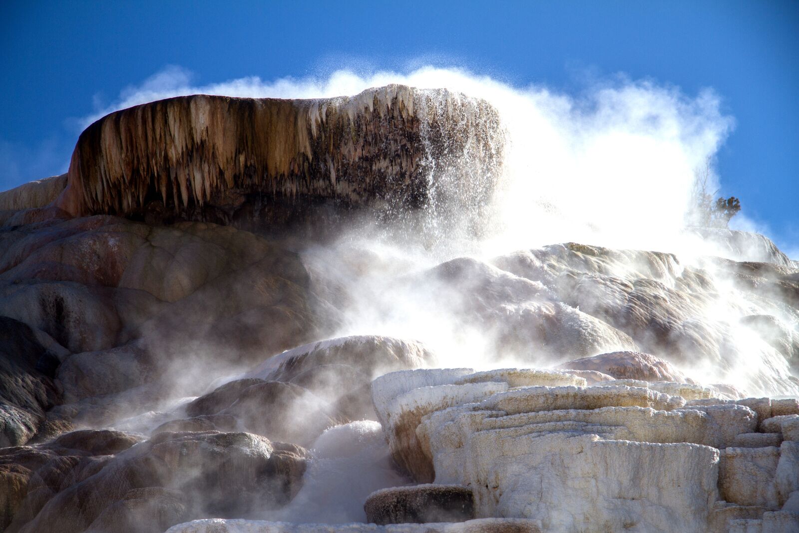 Canon EOS 7D sample photo. Yellowstone national park, wyoming photography