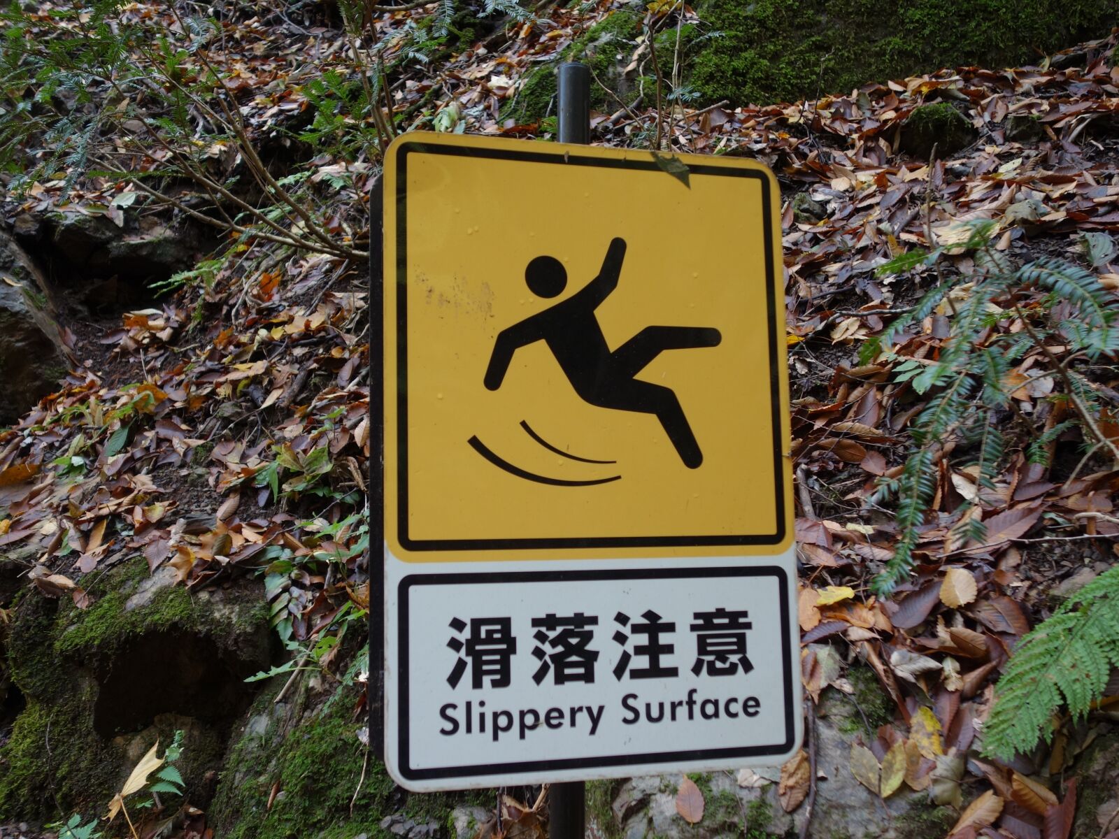 Sony Cyber-shot DSC-RX100 sample photo. Fall attention, label, billboard photography