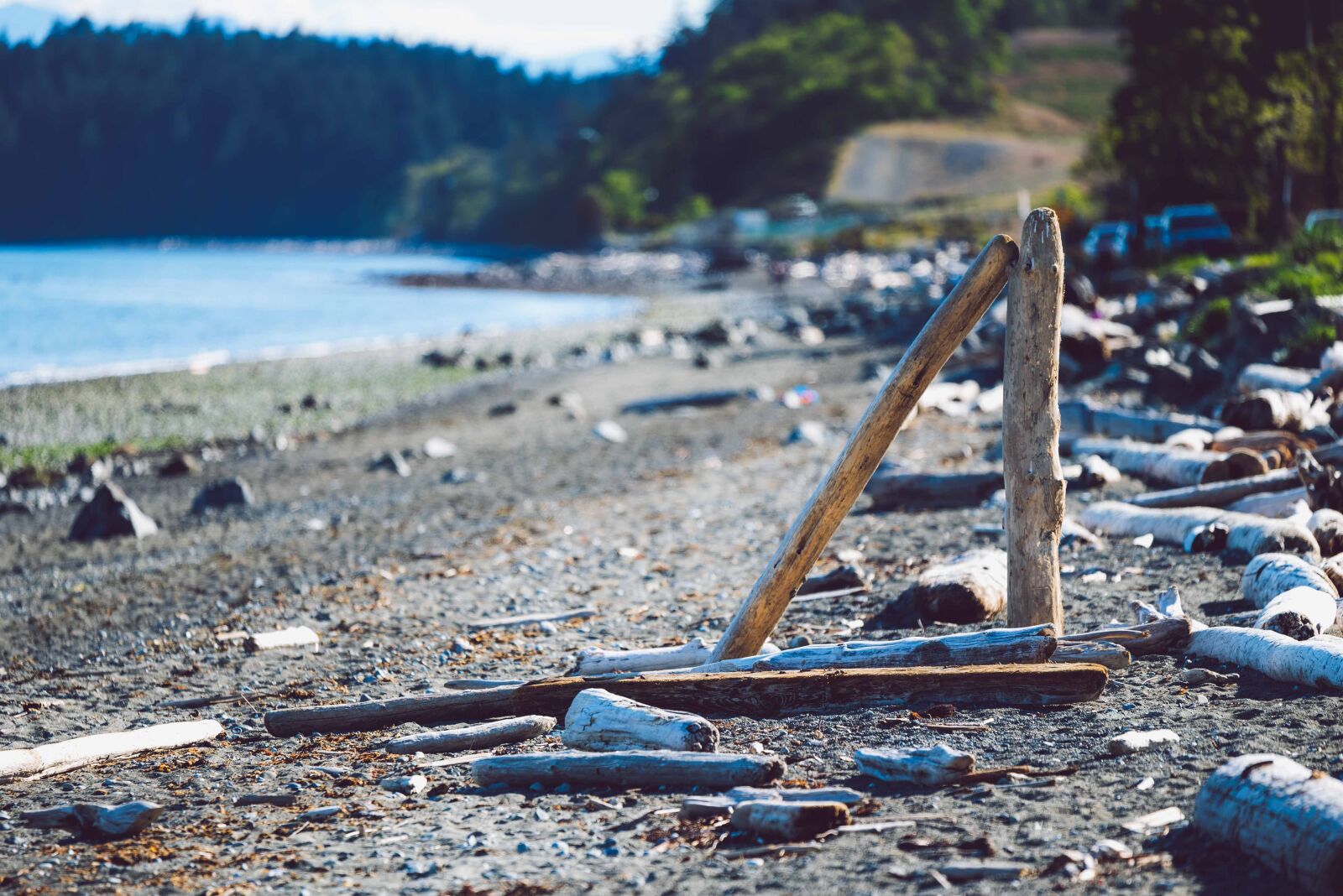 Nikon D750 sample photo. A, avengers, shore photography