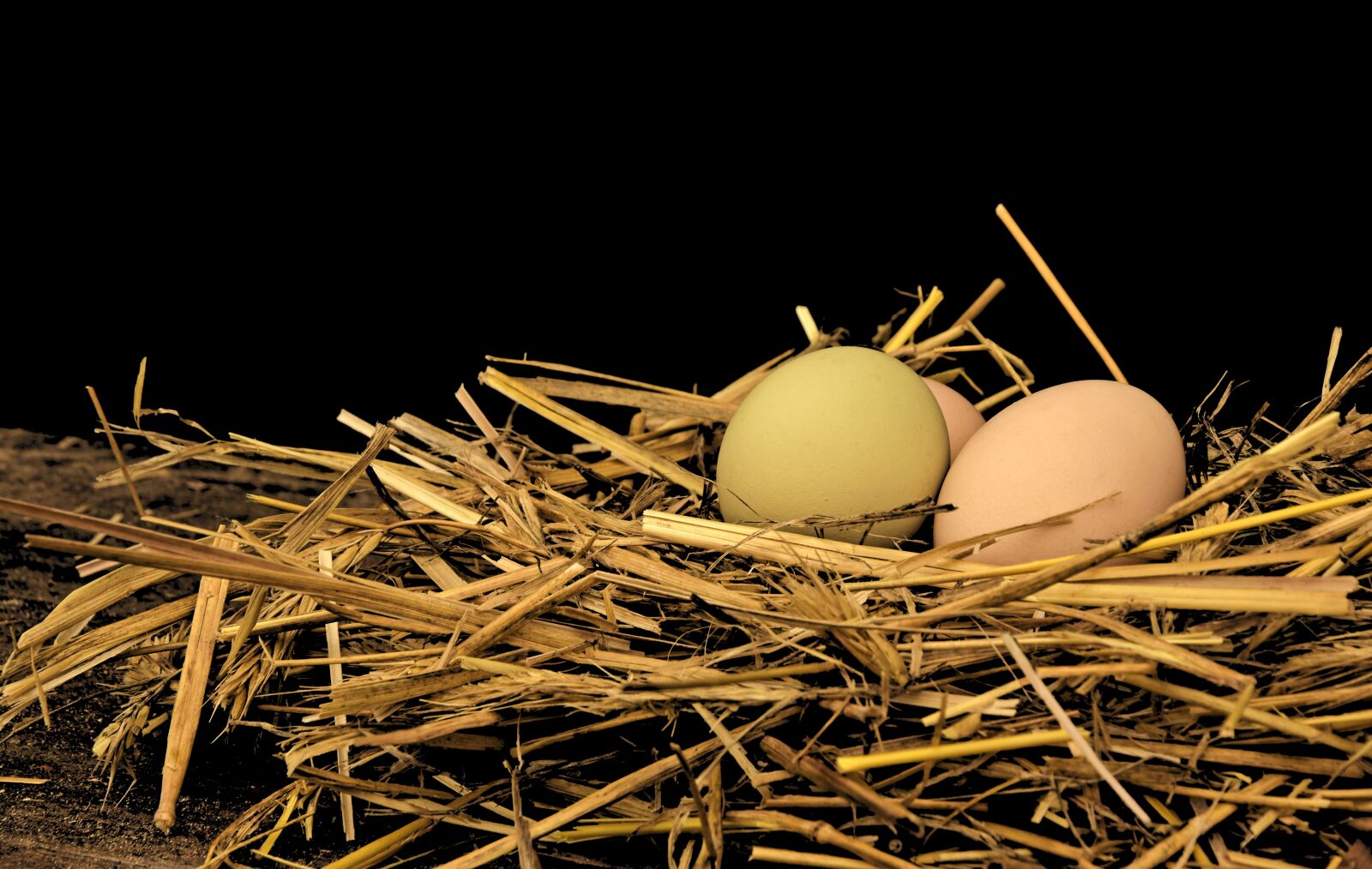 Nikon D5600 sample photo. Egg, hen's egg, straw photography