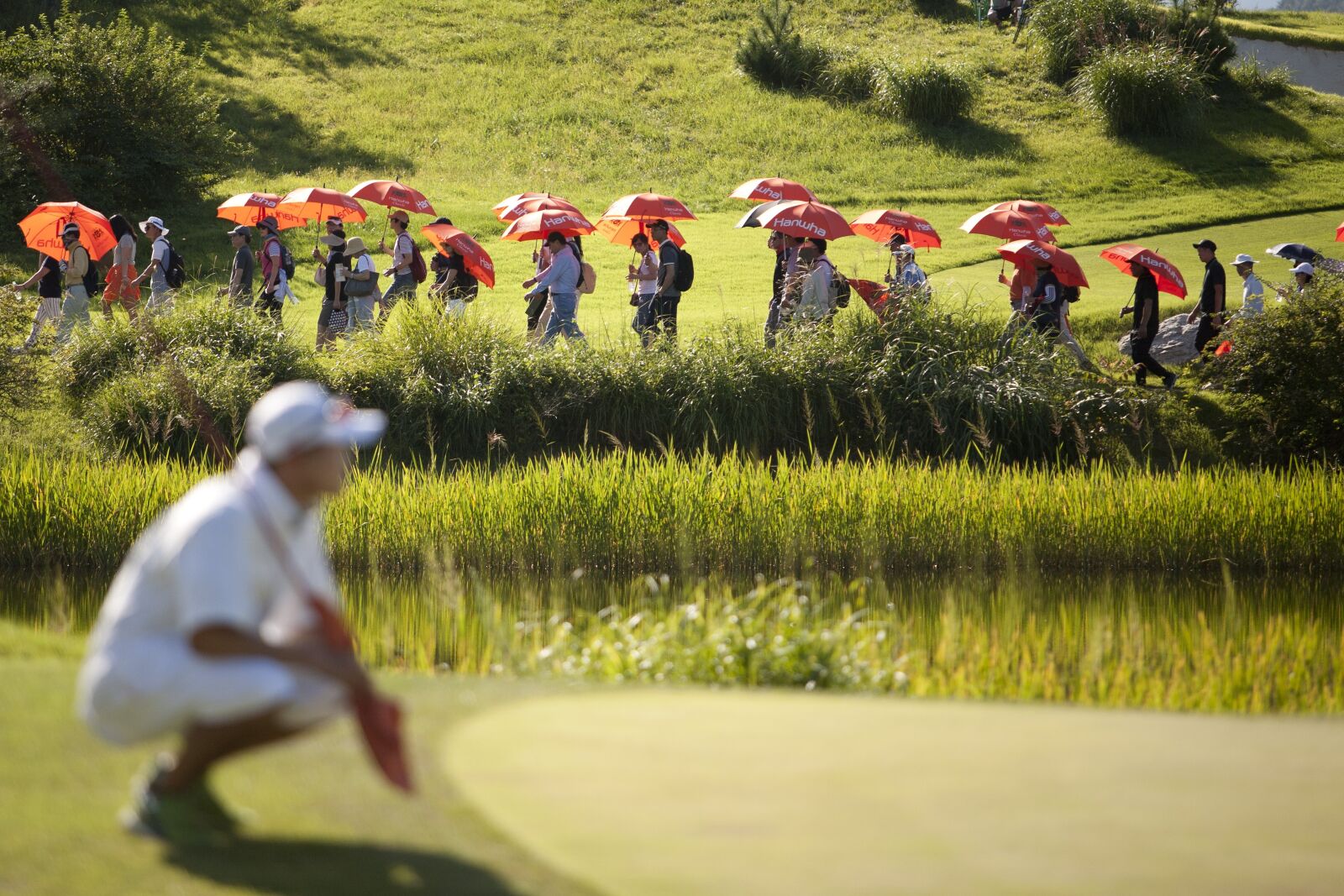 Canon EOS 5D sample photo. Golf, golf tournament, golf photography