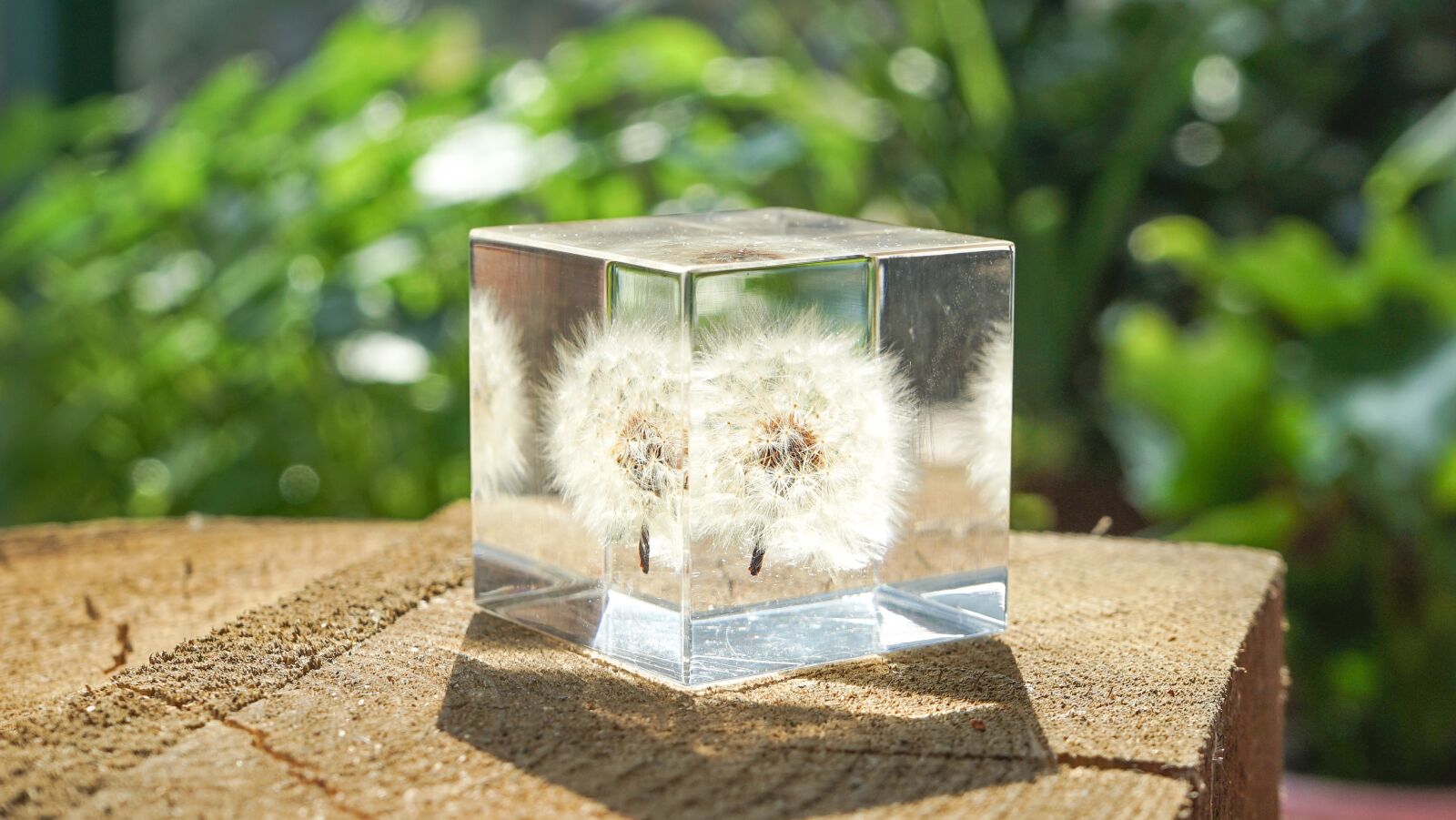 Sony FE 28-70mm F3.5-5.6 OSS sample photo. Dandelion, glass, crystal photography