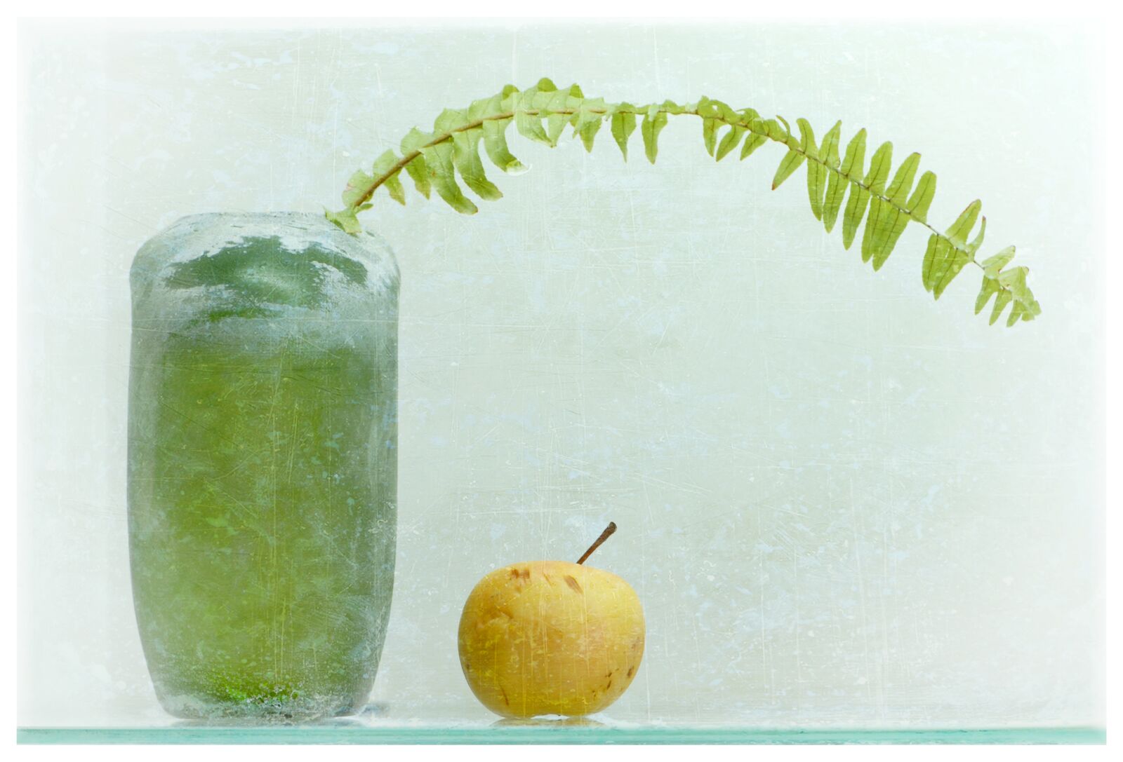 Nikon D200 sample photo. Apple, green, vase photography