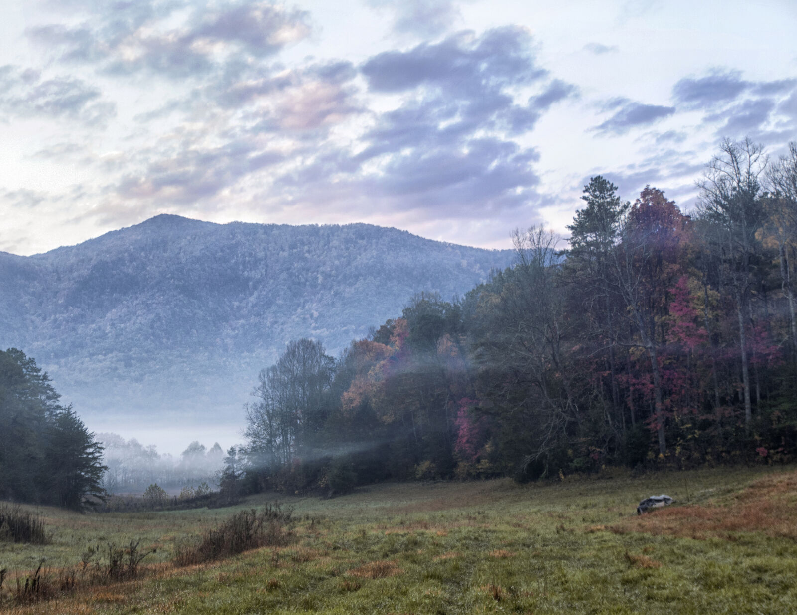 Nikon D300 sample photo. Fall, great, smokey, mountains photography