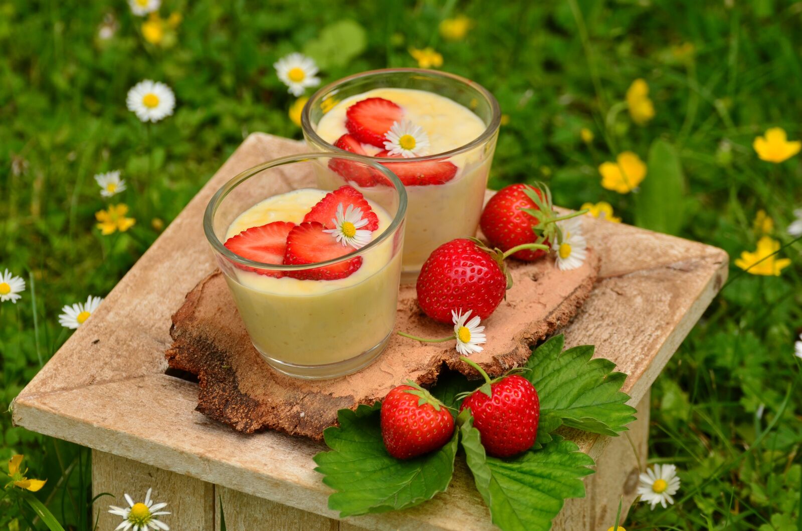 Nikon D5100 sample photo. Strawberries, strawberry dessert, vanilla photography