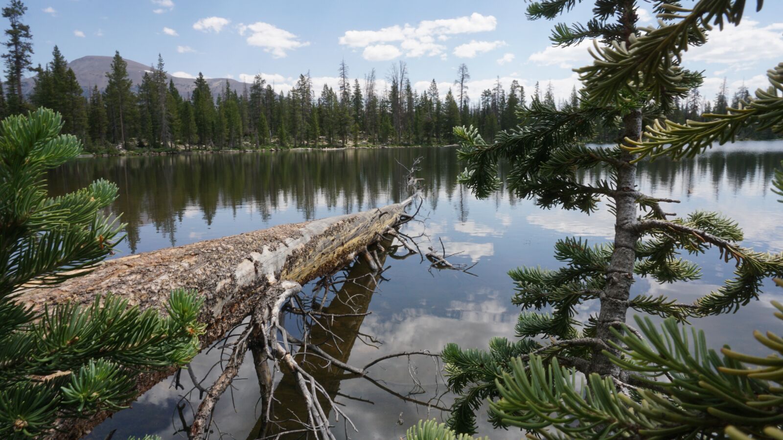 Sony a6000 sample photo. Lake, nature, water photography