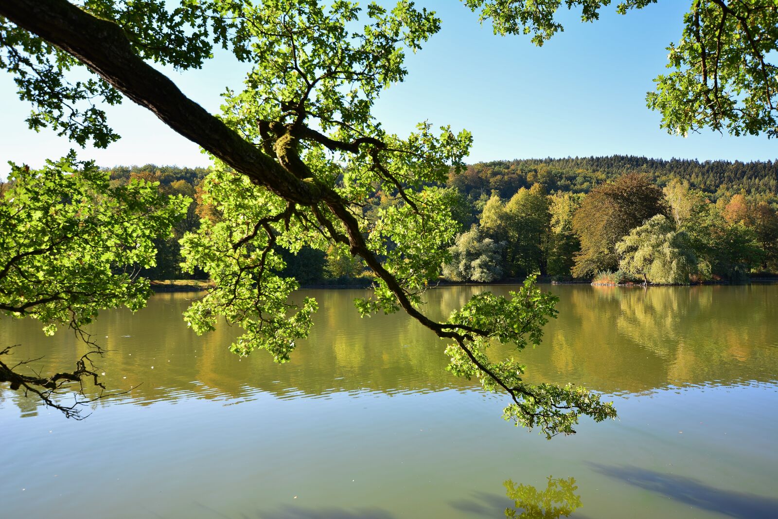 Nikon D5200 sample photo. Park, greiz, thuringia germany photography