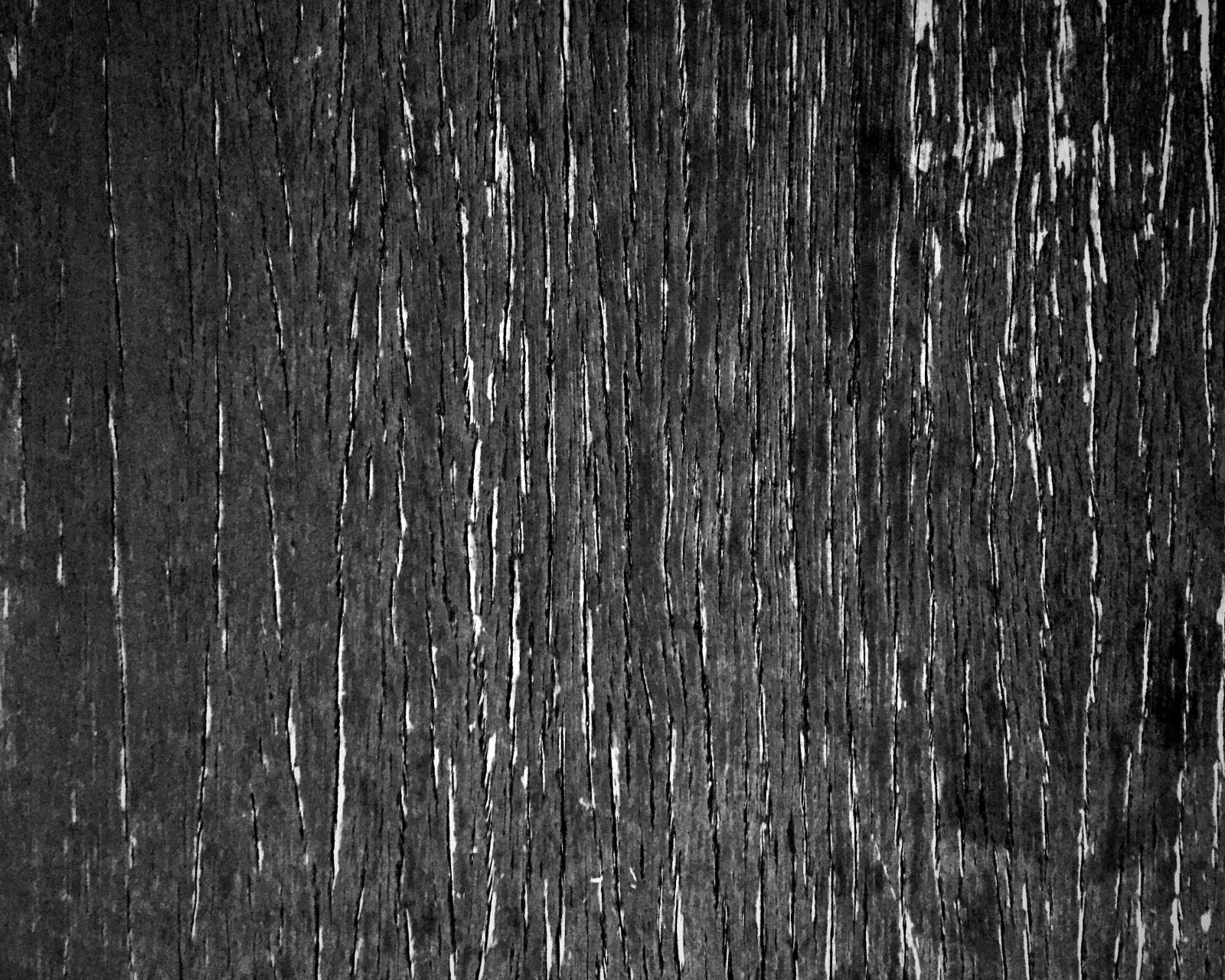 iPhone 6 back camera 4.15mm f/2.2 sample photo. Bark, crack, peel, skin photography