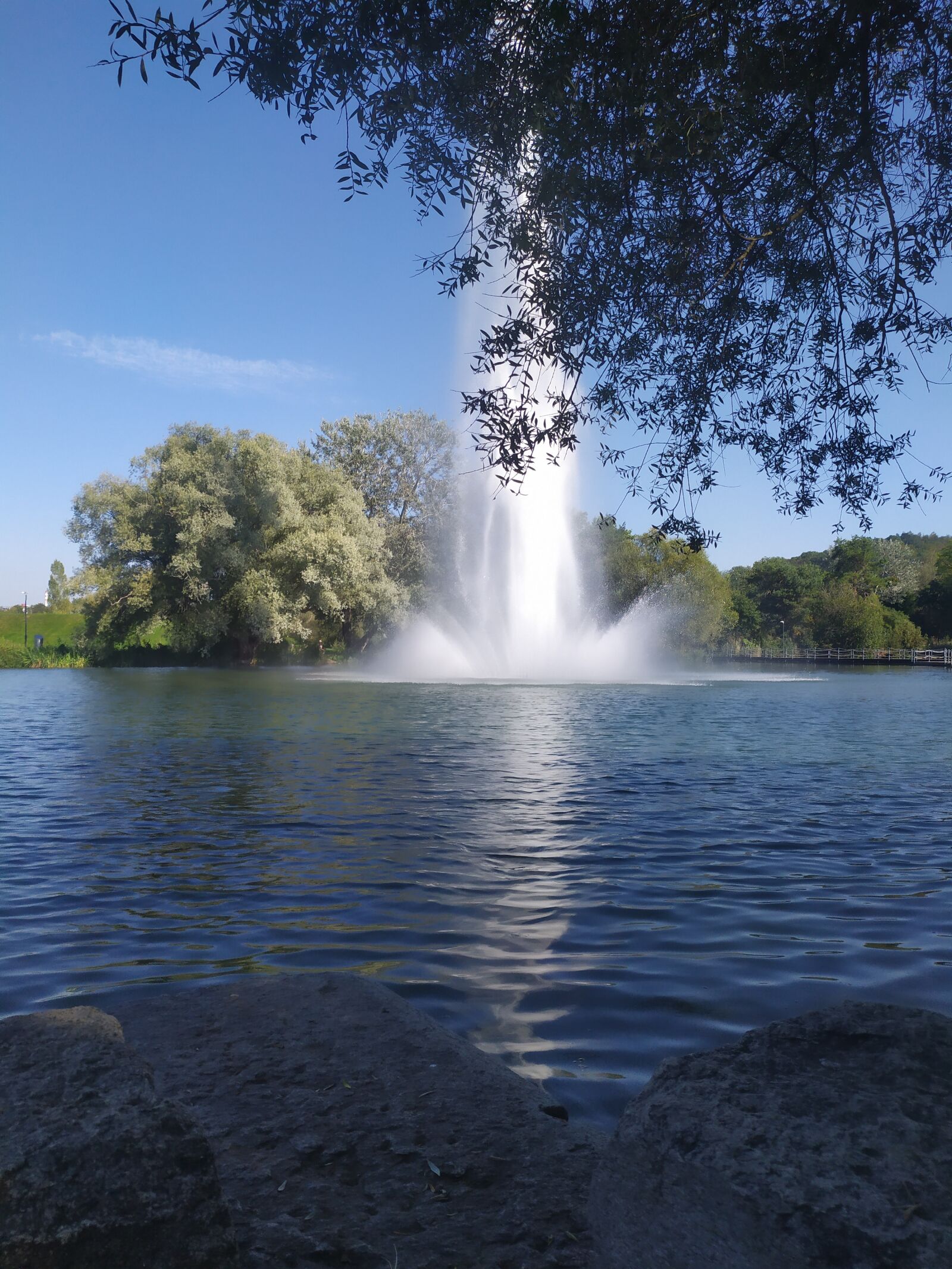 Xiaomi Redmi Note 7 sample photo. Nature, summer, park photography