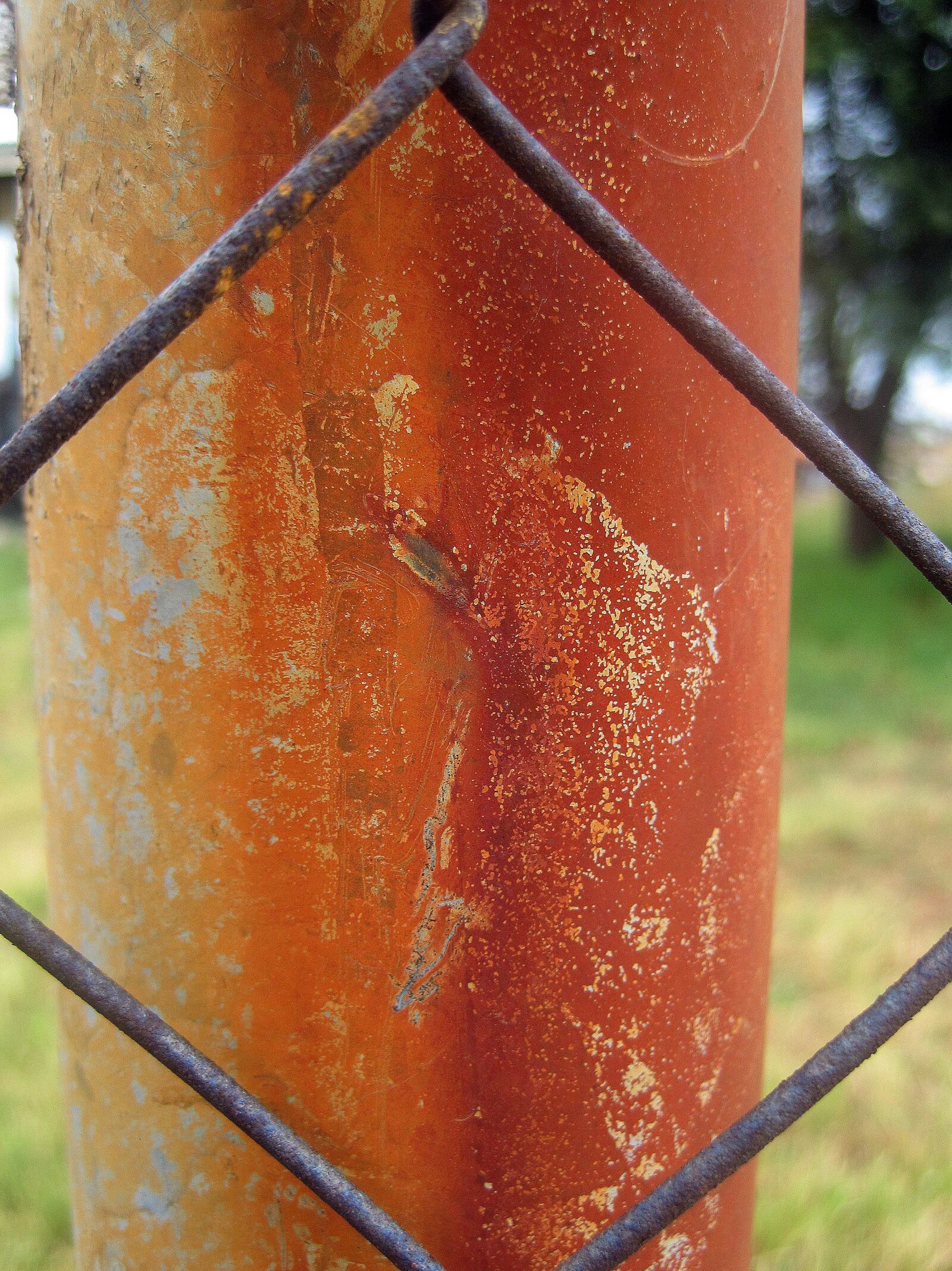 Canon PowerShot SD1200 IS (Digital IXUS 95 IS / IXY Digital 110 IS) sample photo. Rusted pole, pole, upright photography