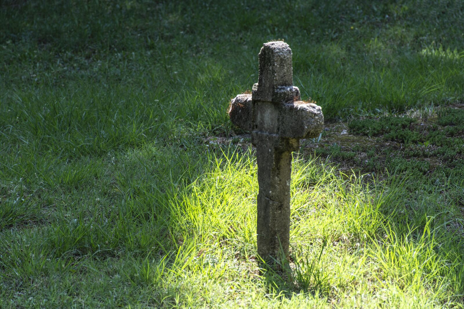 Nikon D7100 sample photo. Cross, grass, green photography