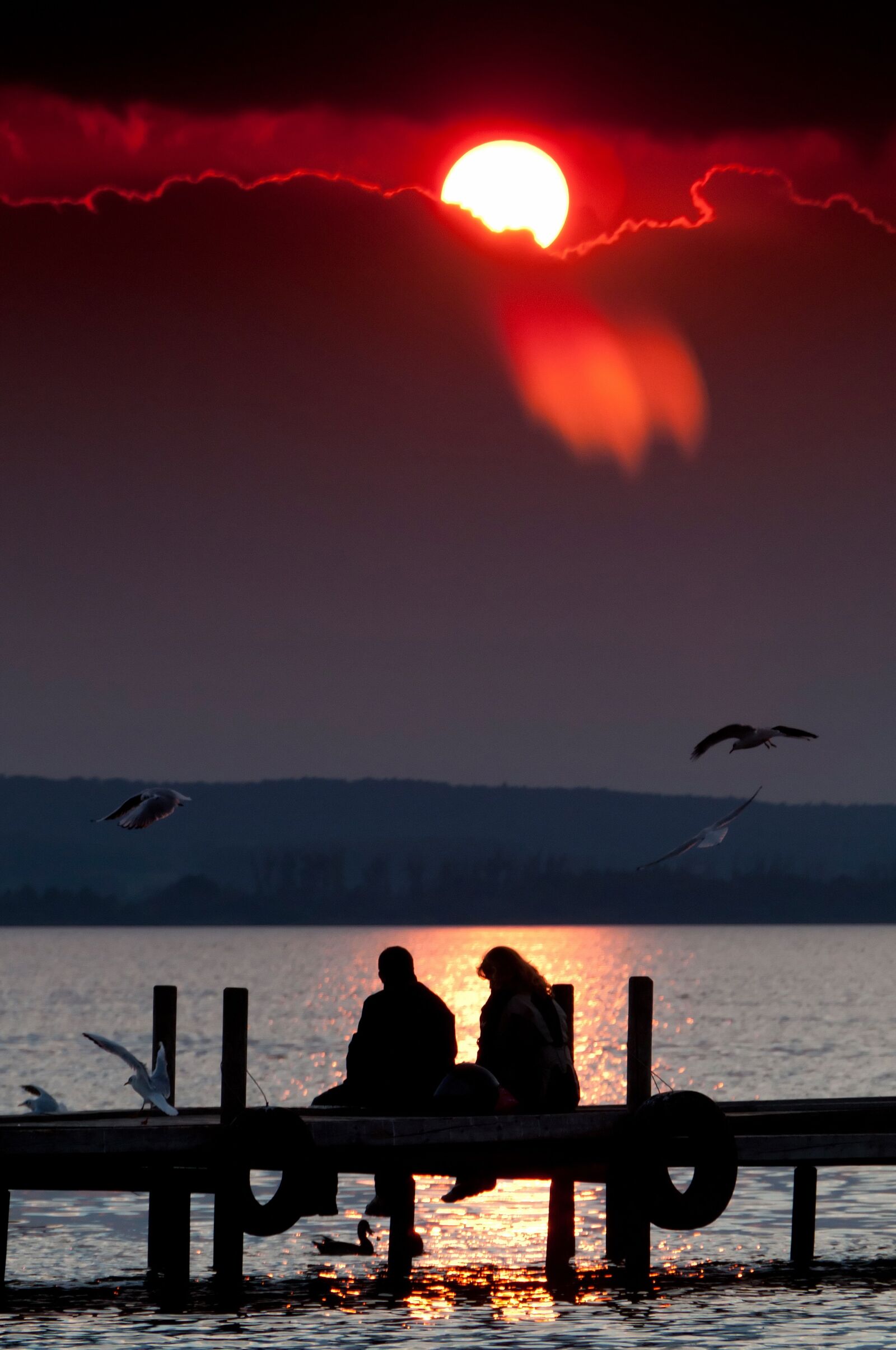 Nikon D300S sample photo. Steinhude, lake, water photography