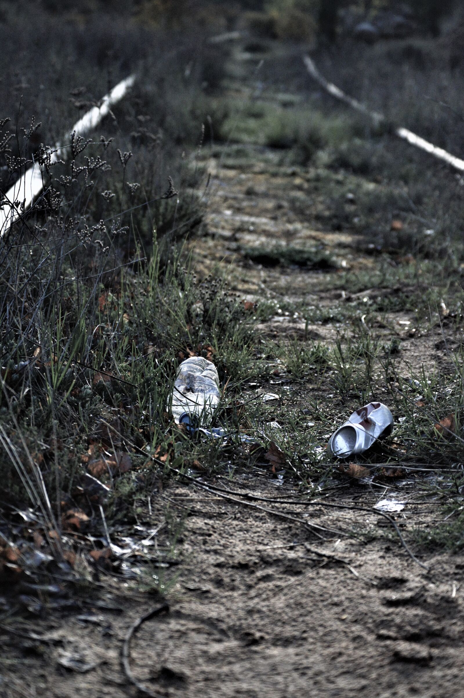 Nikon D3200 sample photo. Environment, trash, recycle photography