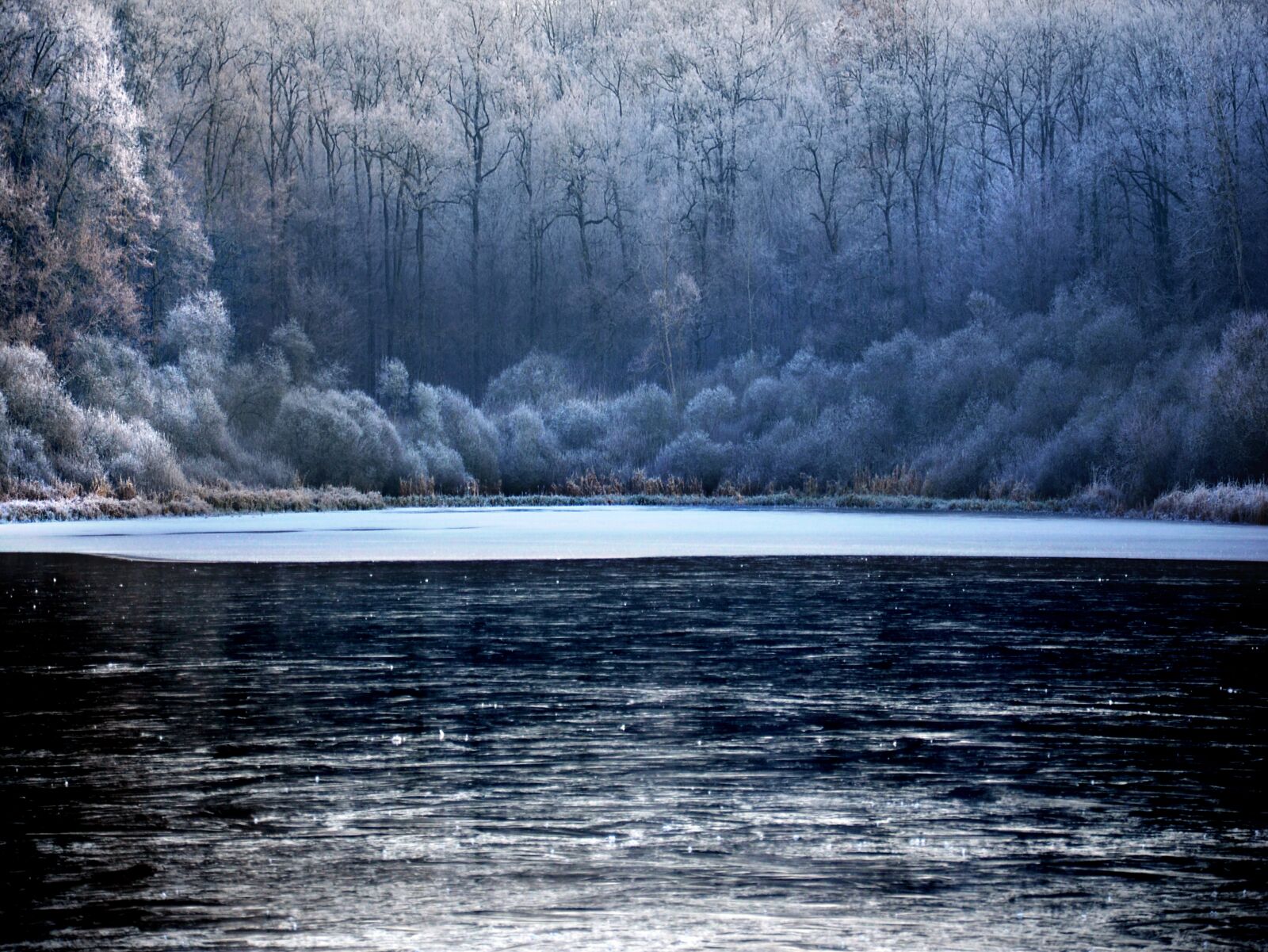 Nikon D5100 sample photo. Winter, frost, cold photography