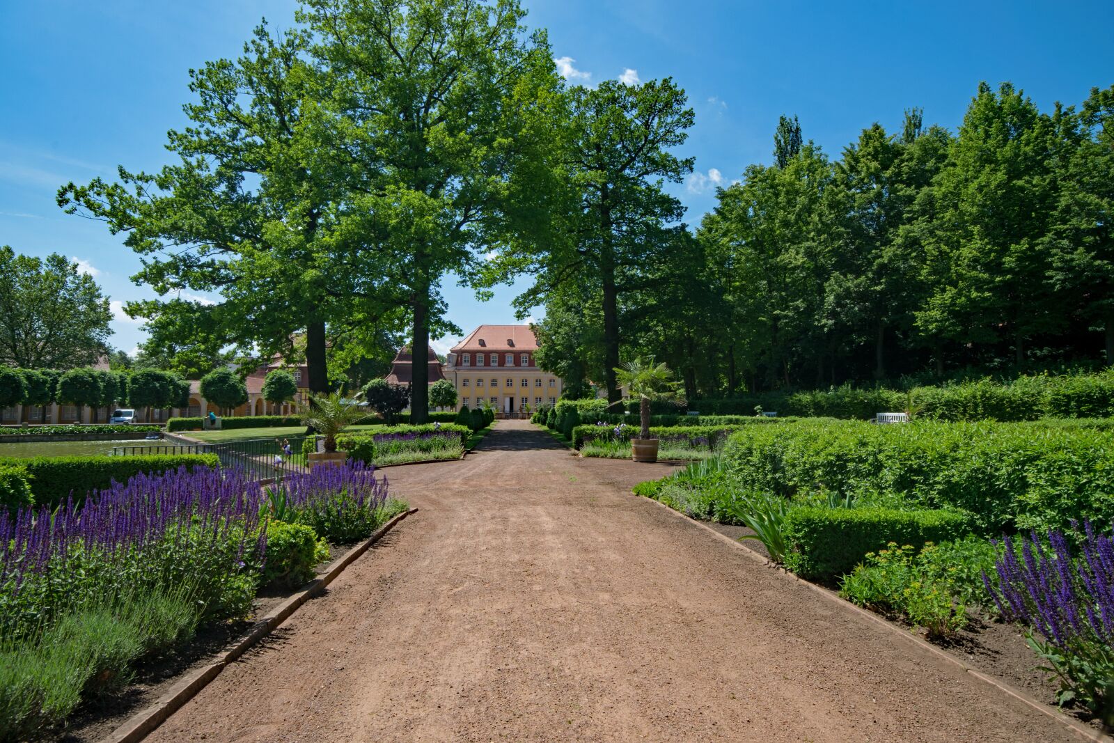 Nikon D5300 sample photo. Kurpark, bad lauchst dt photography