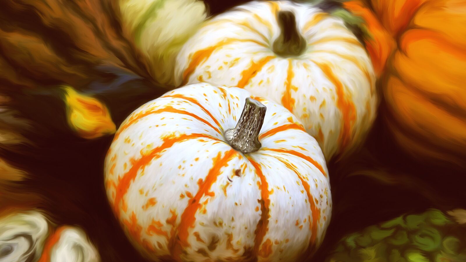 Canon EOS 550D (EOS Rebel T2i / EOS Kiss X4) sample photo. Gourd, pumpkins, pumpkin photography