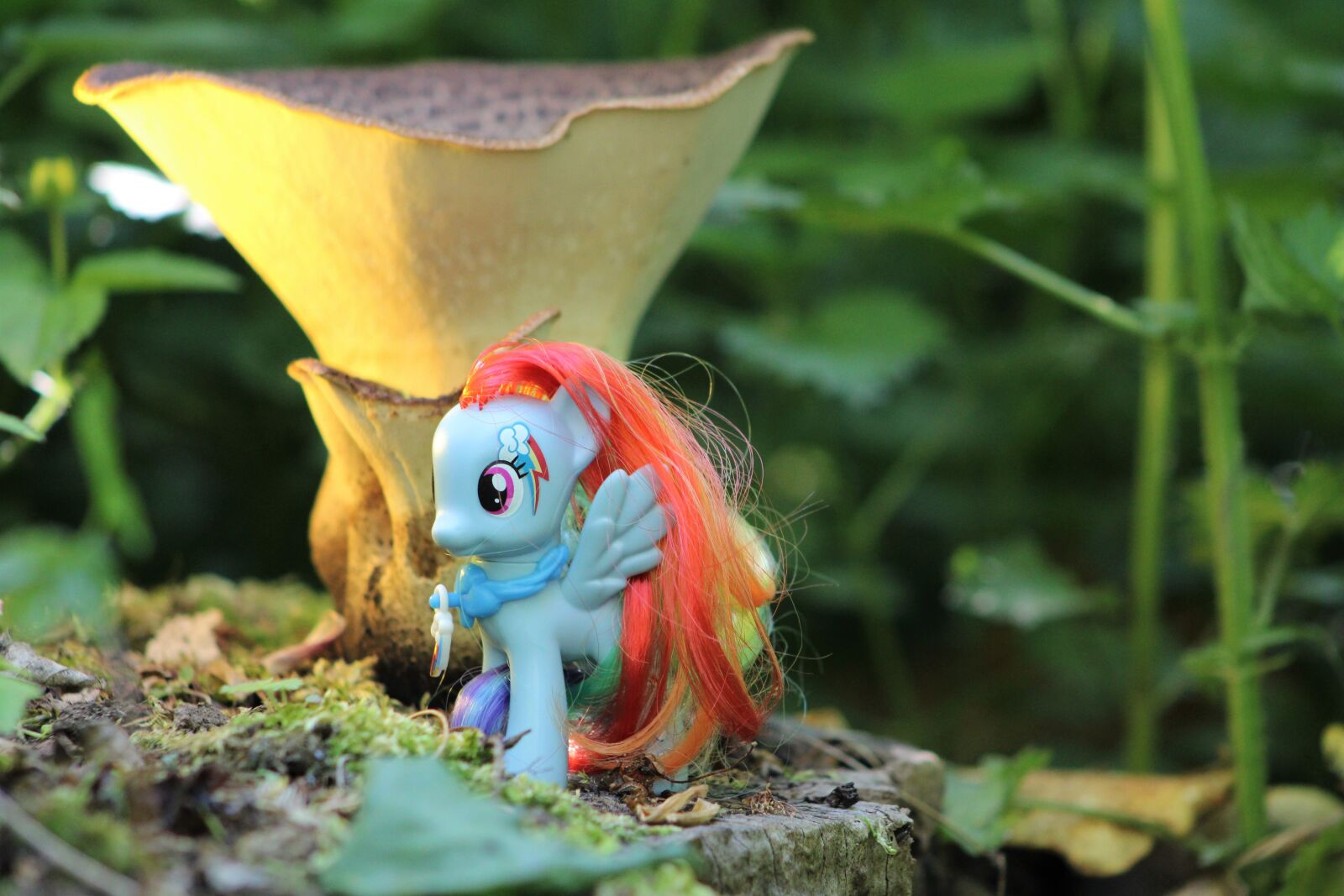 Canon EF75-300mm f/4-5.6 sample photo. My little pony, toys photography