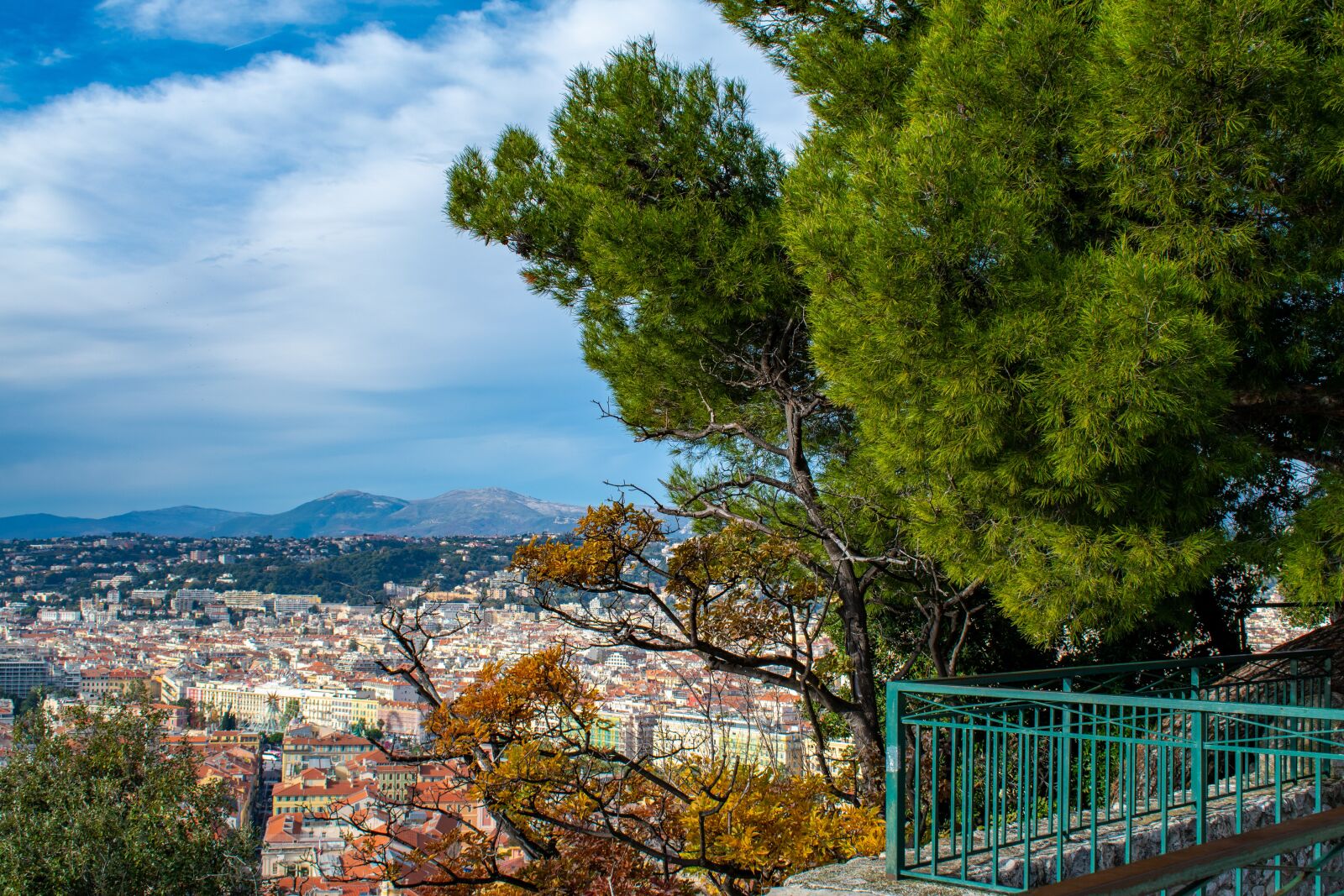Nikon D5600 sample photo. Mountains, trees, city photography