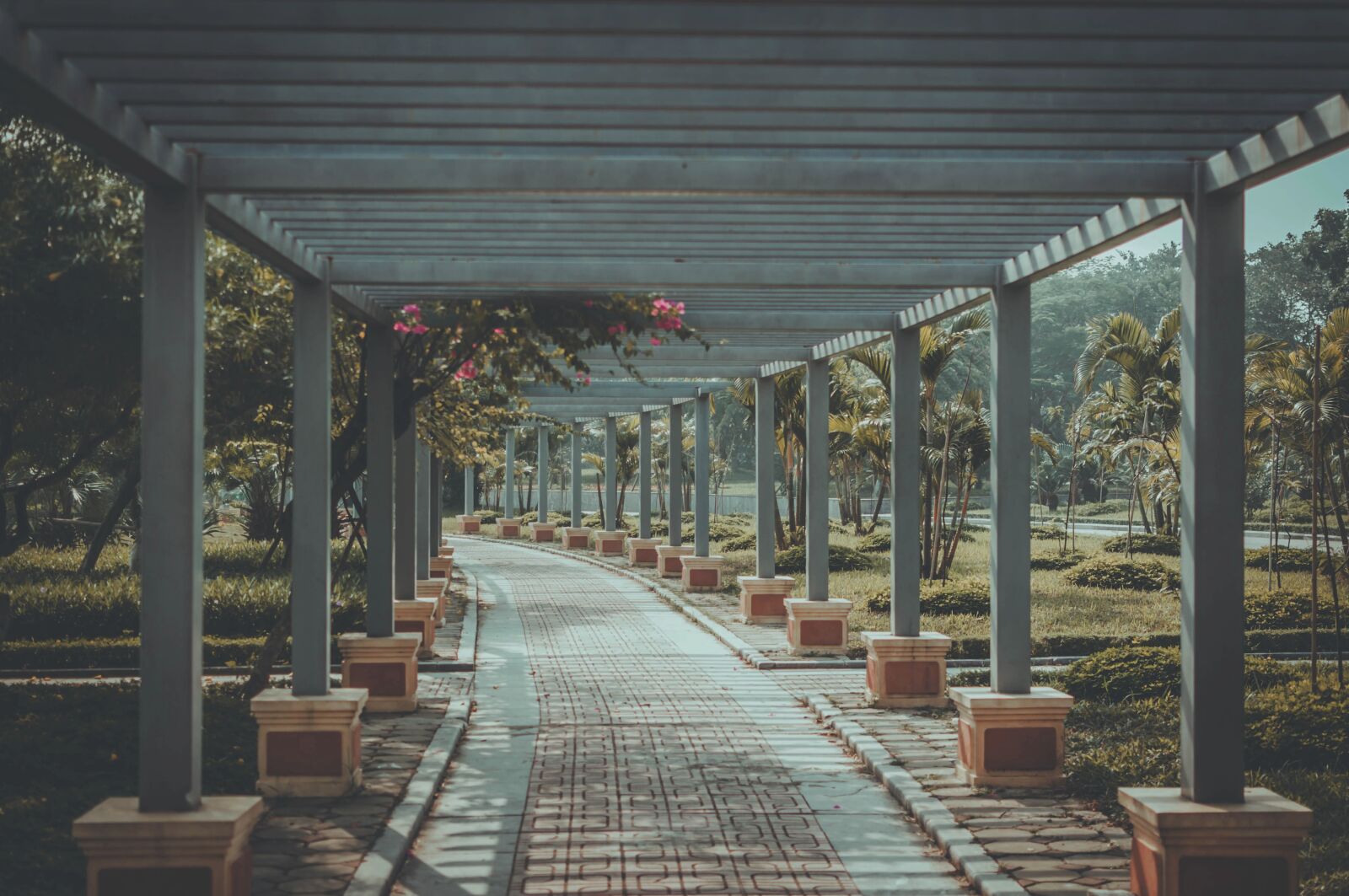 Nikon D90 sample photo. Garden, park, way photography