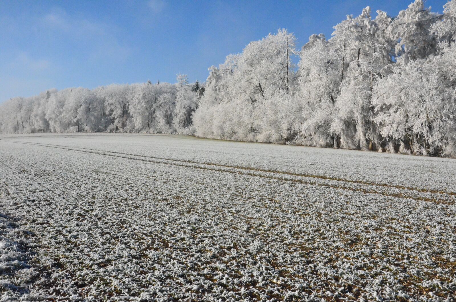 Nikon D7000 sample photo. Snow, sun, winter photography