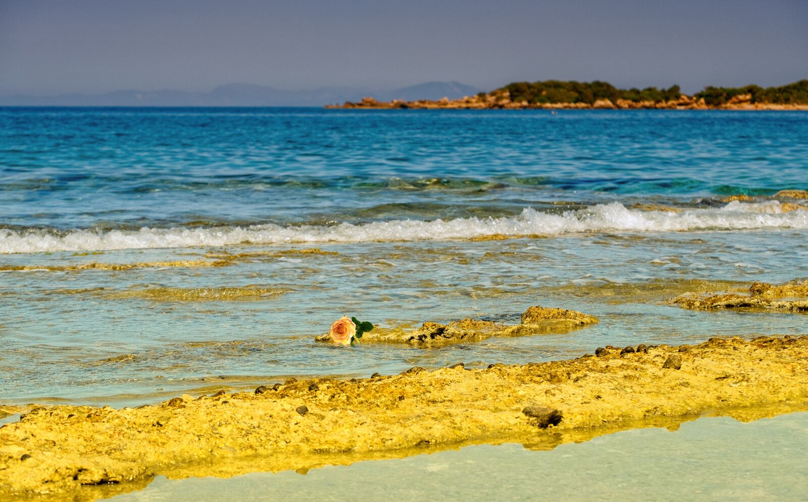 Fujifilm X-T2 + Fujifilm XF 55-200mm F3.5-4.8 R LM OIS sample photo. Rose, sea, water photography