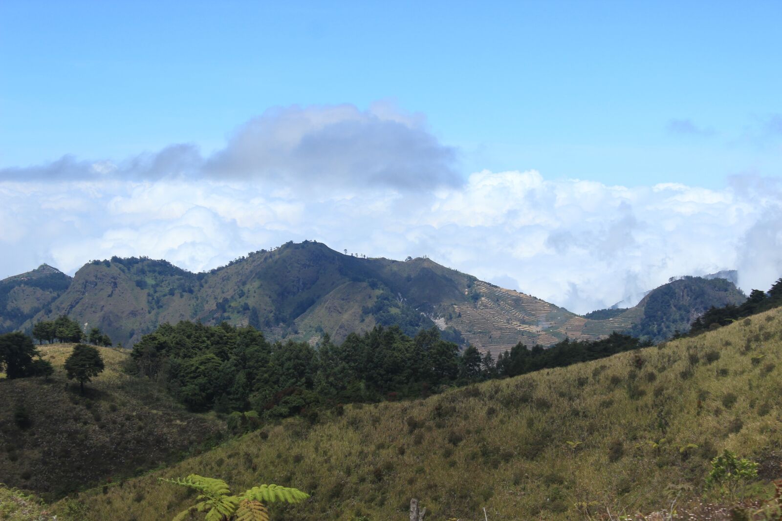 Canon EOS 600D (Rebel EOS T3i / EOS Kiss X5) sample photo. Wonosobo, dieng, gunung prau photography