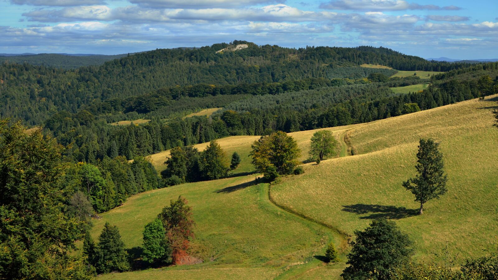 Nikon D7000 sample photo. Mountains, landscape, forest photography