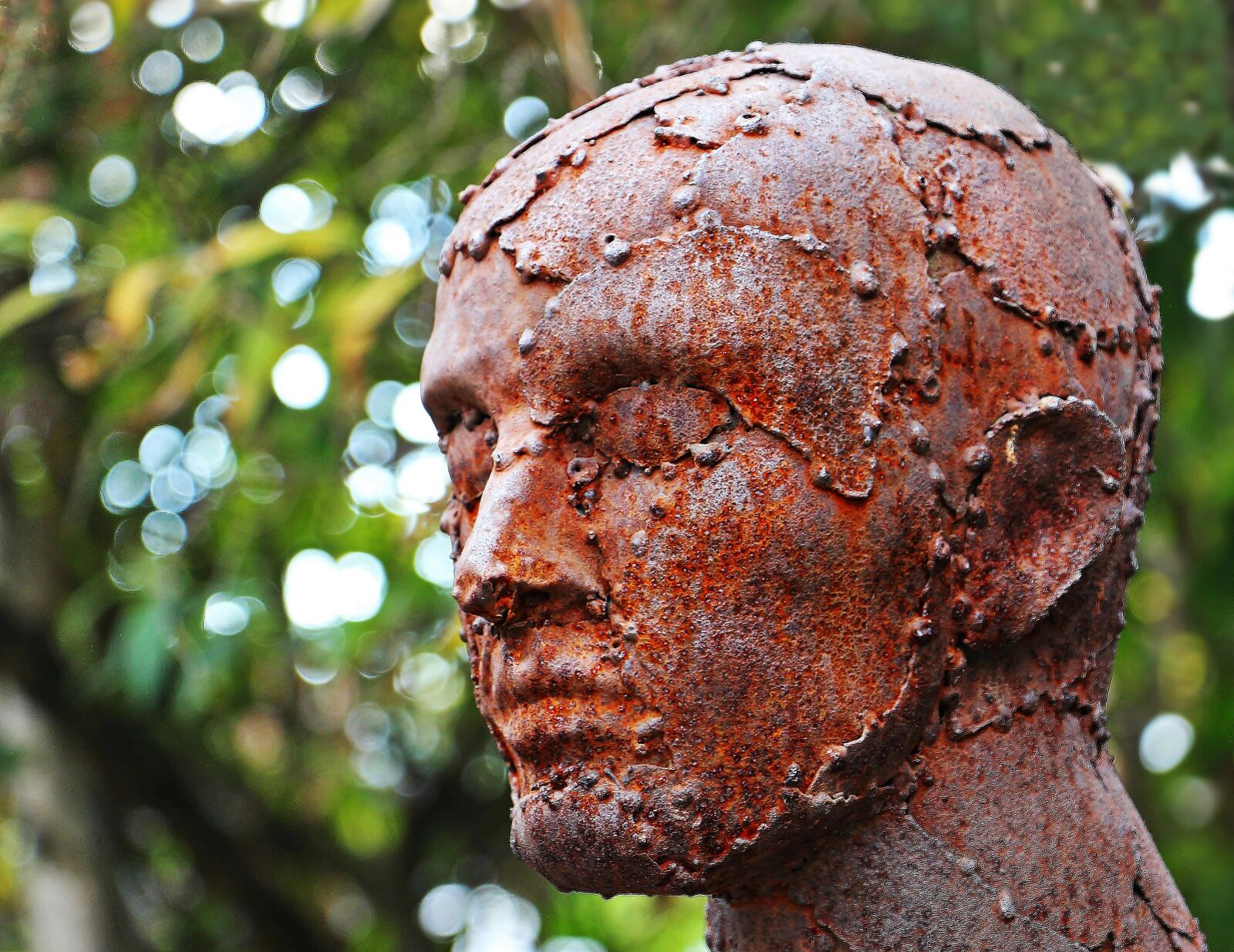 Canon EOS 550D (EOS Rebel T2i / EOS Kiss X4) sample photo. Art, sculpture, scrap sculpture photography