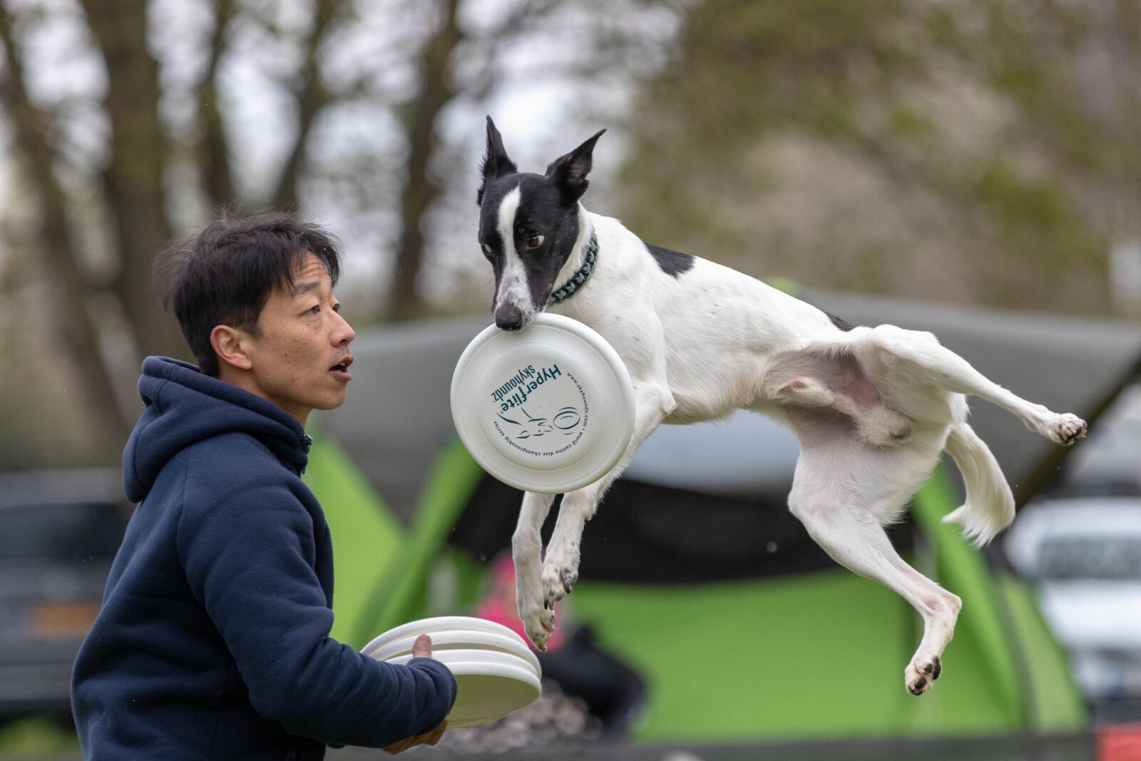 Canon EOS 80D sample photo. Frisbee, dogfrisbee, dog photography