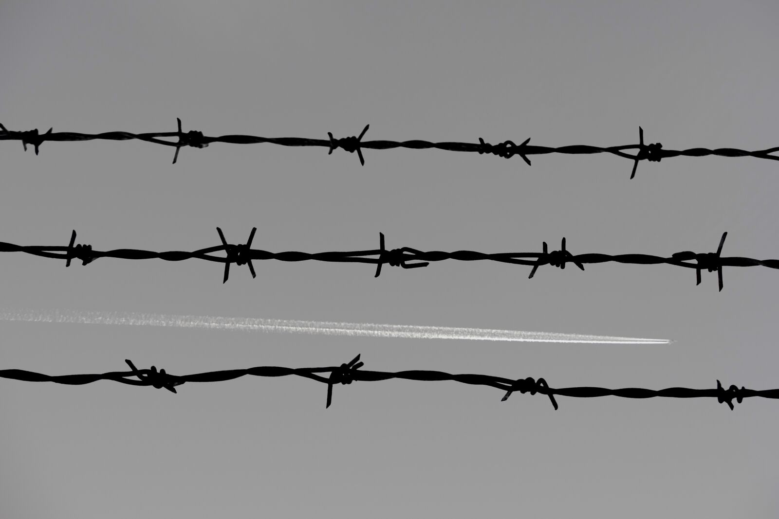 Nikon D3300 sample photo. Barbed wire, fence, prison photography