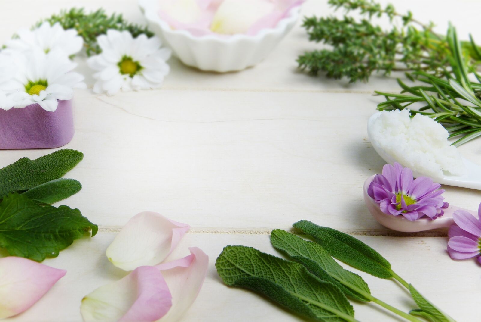 Panasonic Lumix DMC-FZ150 sample photo. Herbs, thyme, sage photography